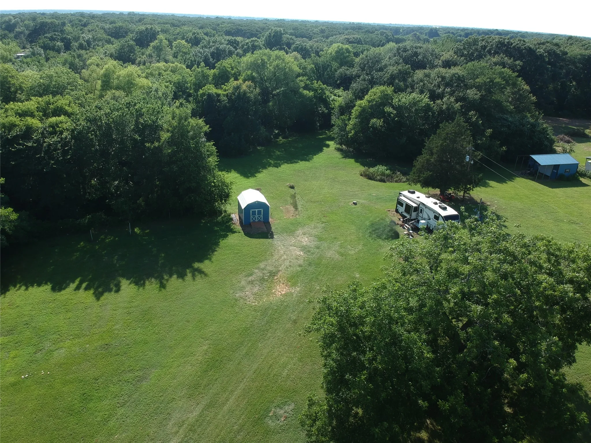 Expansive green space featuring mature trees and a blue storage shed