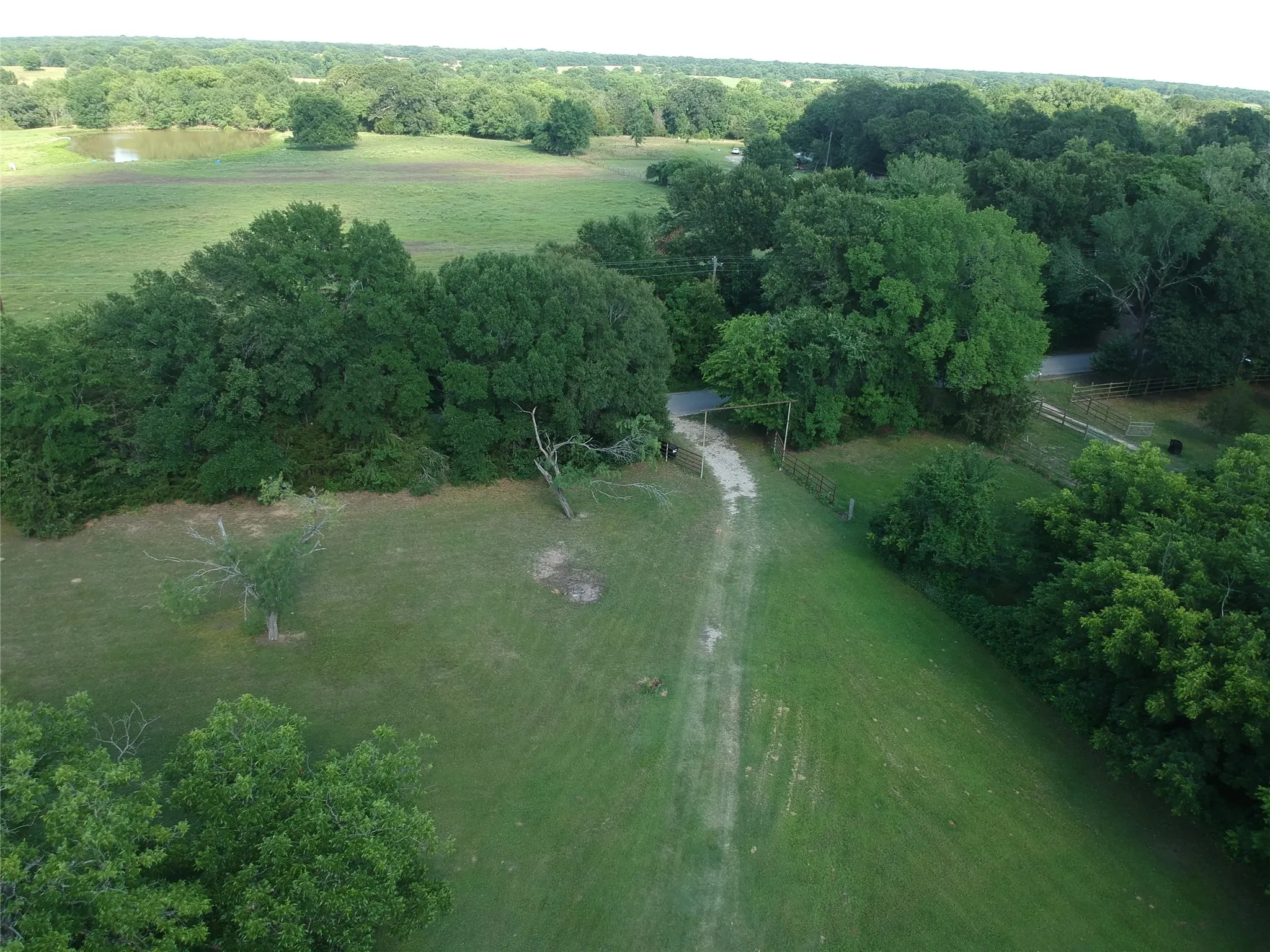 Expansive green spaces featuring a natural pond, mature trees, and a private dirt road entrance