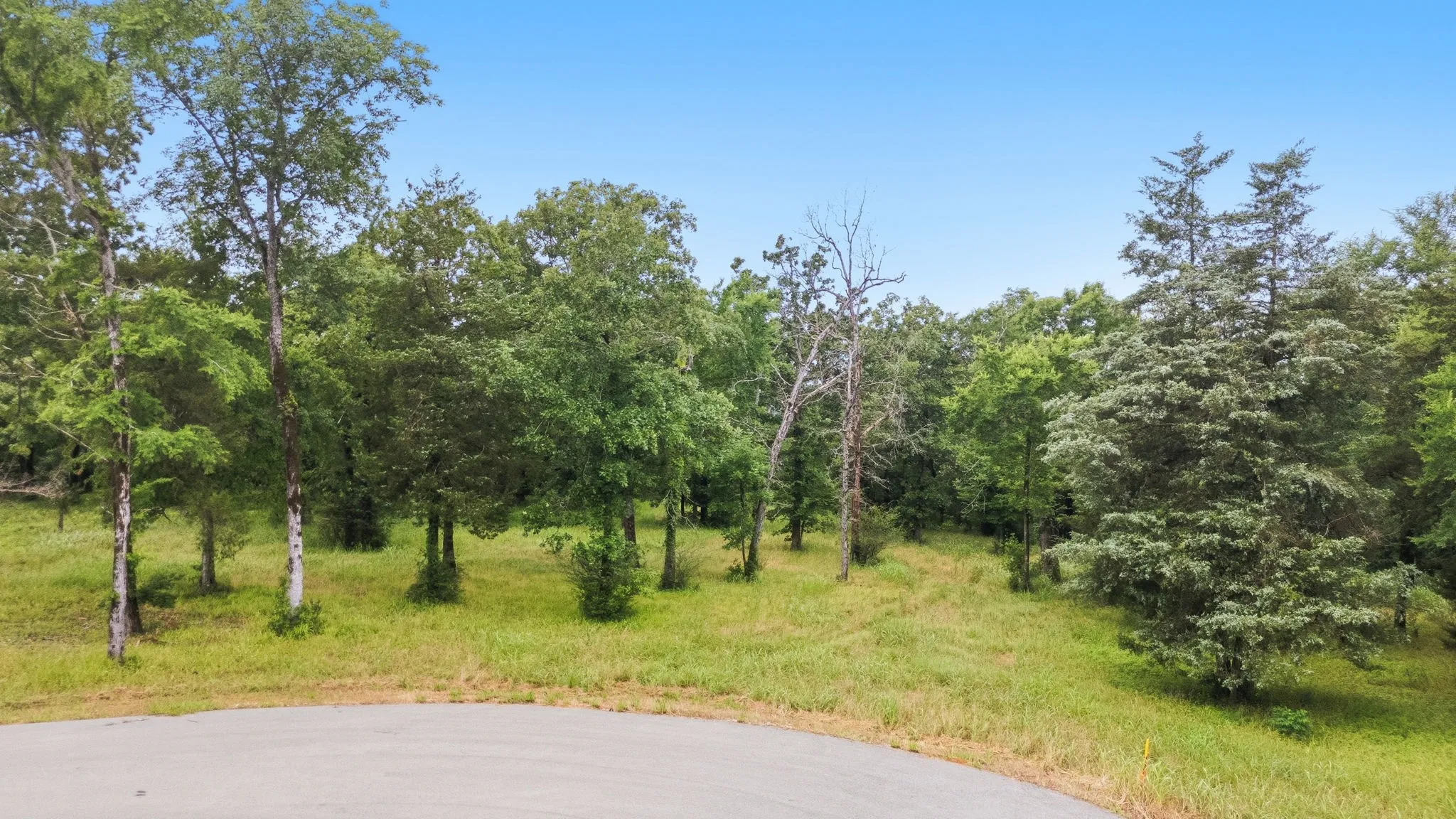Unimproved Land For Sale in Anderson County , TBD Private Road 5150, Palestine, Texas 75801, 0, 0, Garage spaces, 0 Sqft, built in 0, Price $250,000, mls#21275314, Real Estate Agent in Palestine, Homes For Sale in Anderson county, Homes For Sale in Palestine, Realtor in Palestine Texas, Real Estate Brokerage Independent Realty Texas, Luminita Cordes Realtor