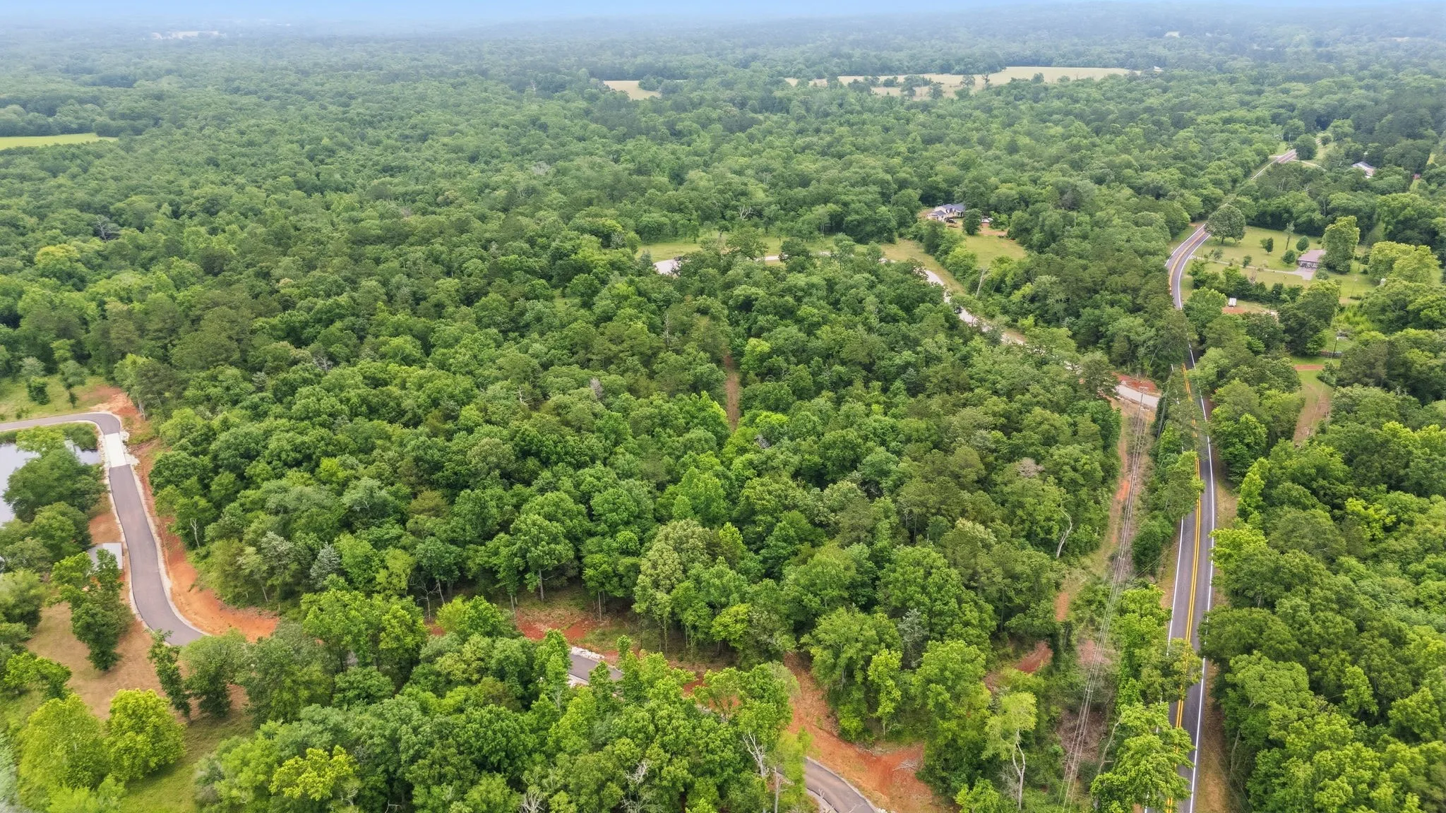 Unimproved Land For Sale in Anderson County , TBD Private Road 5150, Palestine, Texas 75801, 0, 0, Garage spaces, 0 Sqft, built in 0, Price $250,000, mls#21275314, Real Estate Agent in Palestine, Homes For Sale in Anderson county, Homes For Sale in Palestine, Realtor in Palestine Texas, Real Estate Brokerage Independent Realty Texas, Luminita Cordes Realtor