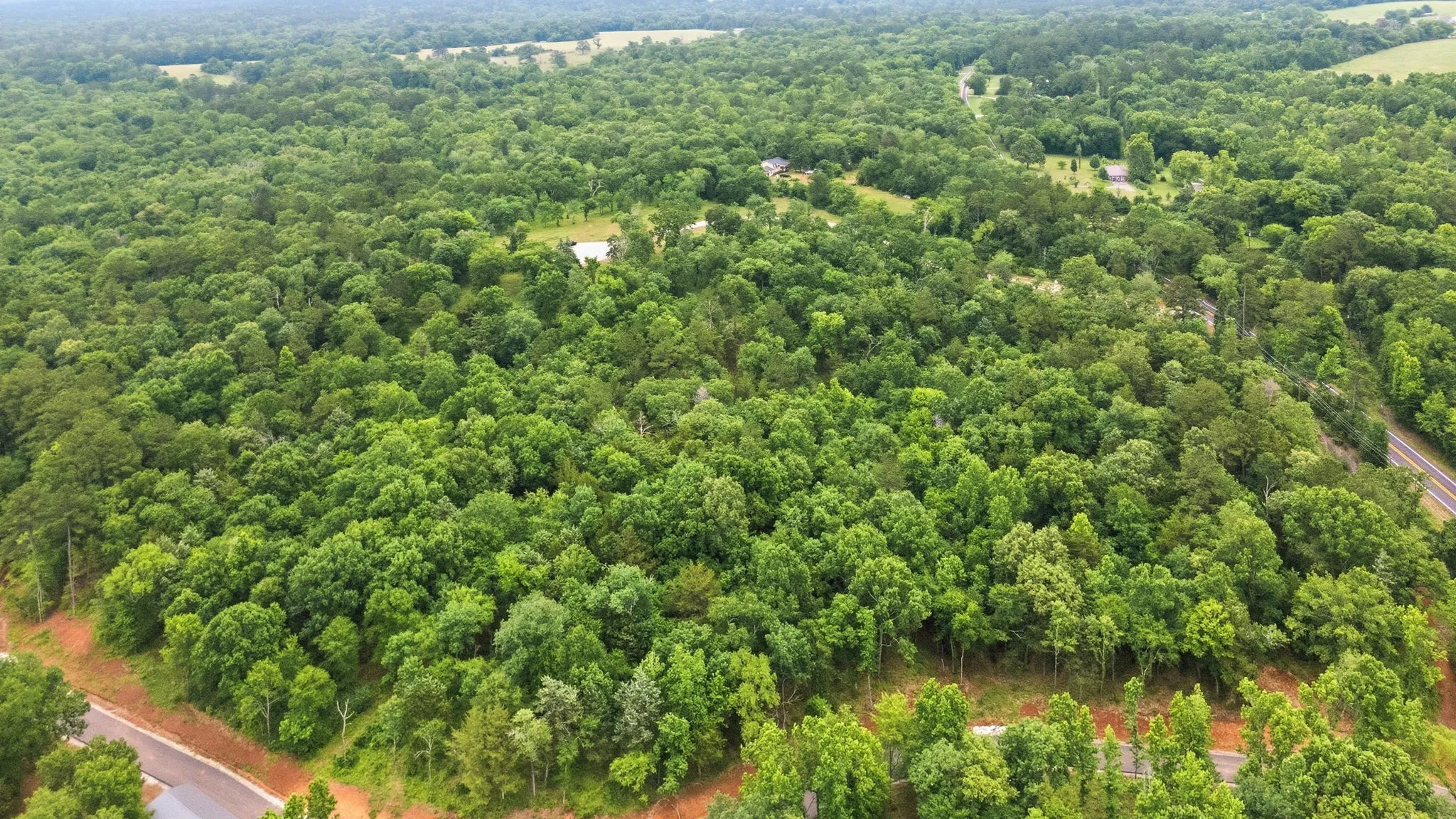 Unimproved Land For Sale in Anderson County , TBD Private Road 5150, Palestine, Texas 75801, 0, 0, Garage spaces, 0 Sqft, built in 0, Price $250,000, mls#21275314, Real Estate Agent in Palestine, Homes For Sale in Anderson county, Homes For Sale in Palestine, Realtor in Palestine Texas, Real Estate Brokerage Independent Realty Texas, Luminita Cordes Realtor