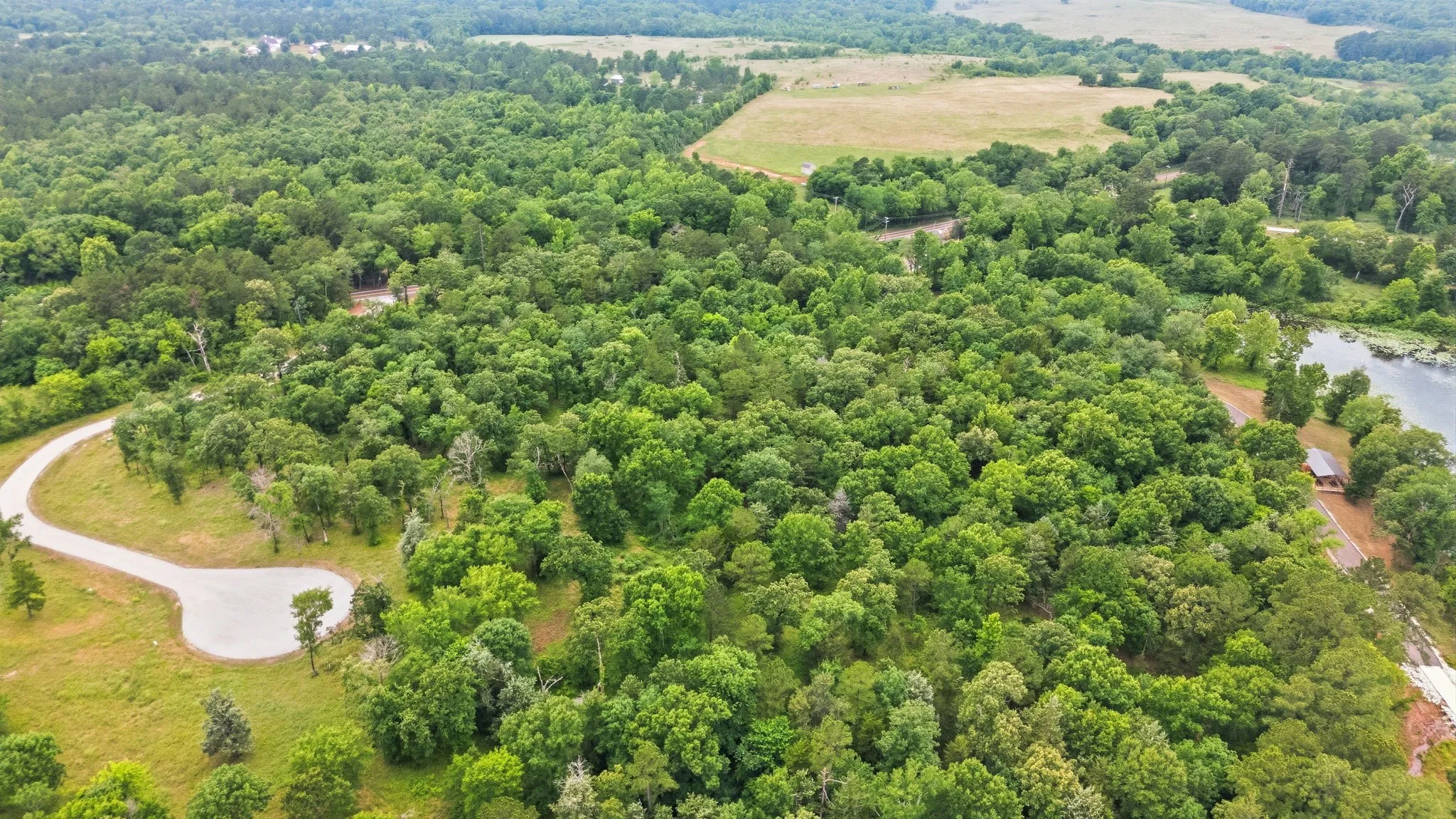 Unimproved Land For Sale in Anderson County , TBD Private Road 5150, Palestine, Texas 75801, 0, 0, Garage spaces, 0 Sqft, built in 0, Price $250,000, mls#21275314, Real Estate Agent in Palestine, Homes For Sale in Anderson county, Homes For Sale in Palestine, Realtor in Palestine Texas, Real Estate Brokerage Independent Realty Texas, Luminita Cordes Realtor