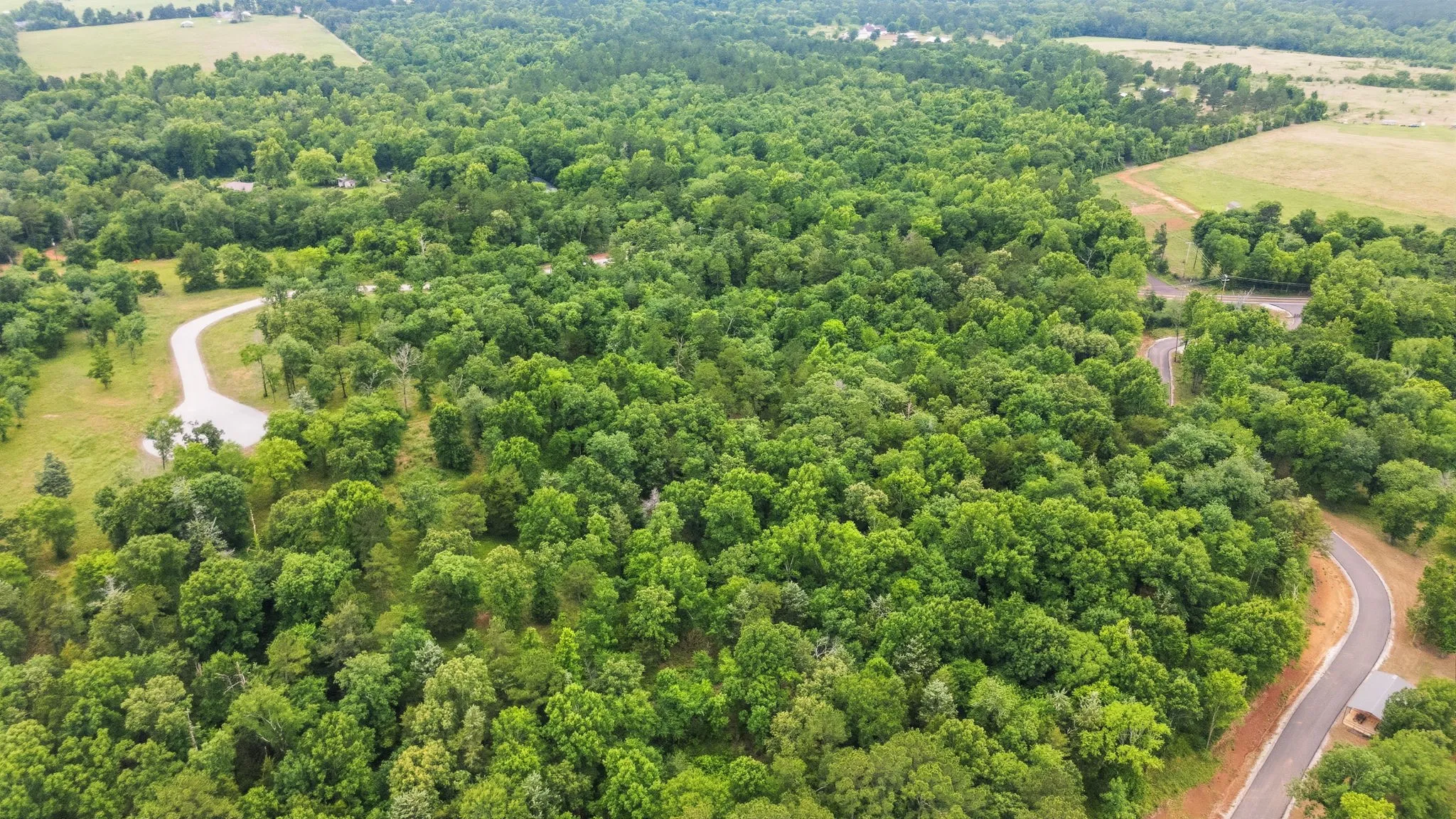 Unimproved Land For Sale in Anderson County , TBD Private Road 5150, Palestine, Texas 75801, 0, 0, Garage spaces, 0 Sqft, built in 0, Price $250,000, mls#21275314, Real Estate Agent in Palestine, Homes For Sale in Anderson county, Homes For Sale in Palestine, Realtor in Palestine Texas, Real Estate Brokerage Independent Realty Texas, Luminita Cordes Realtor
