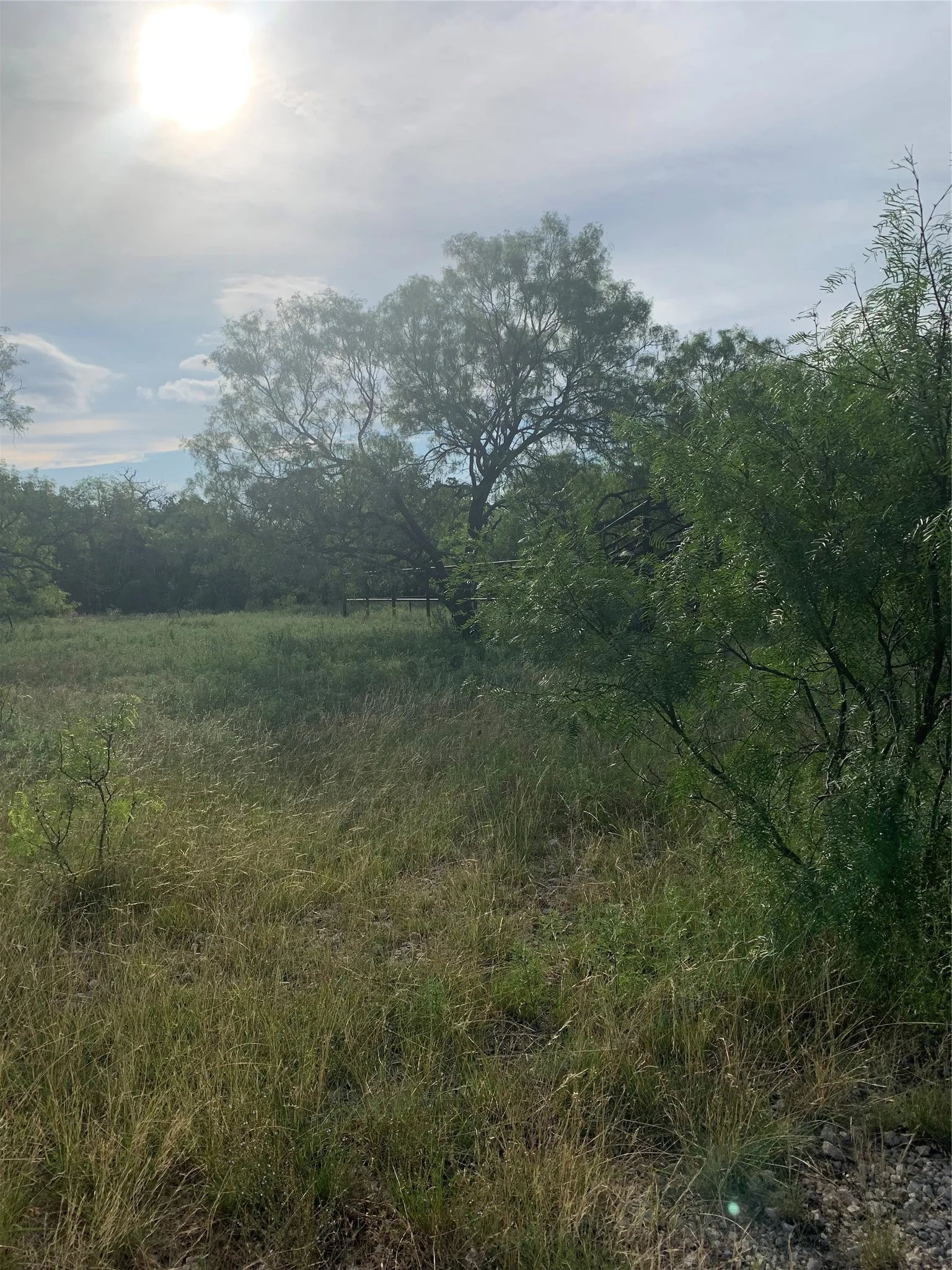 Unimproved Land For Sale in Jack County , 31.09 ac Hoefle Road, Jacksboro, Texas 76458, 0, 0, Garage spaces, 0 Sqft, built in 0, Price $450,805, mls#21275073, Real Estate Agent in Jacksboro, Homes For Sale in Jack county, Homes For Sale in Jacksboro, Realtor in Jacksboro Texas, Real Estate Brokerage Independent Realty Texas, Luminita Cordes Realtor