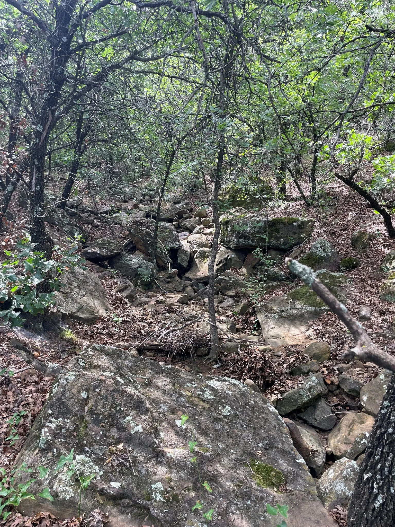 Unimproved Land For Sale in Jack County , 31.09 ac Hoefle Road, Jacksboro, Texas 76458, 0, 0, Garage spaces, 0 Sqft, built in 0, Price $450,805, mls#21275073, Real Estate Agent in Jacksboro, Homes For Sale in Jack county, Homes For Sale in Jacksboro, Realtor in Jacksboro Texas, Real Estate Brokerage Independent Realty Texas, Luminita Cordes Realtor