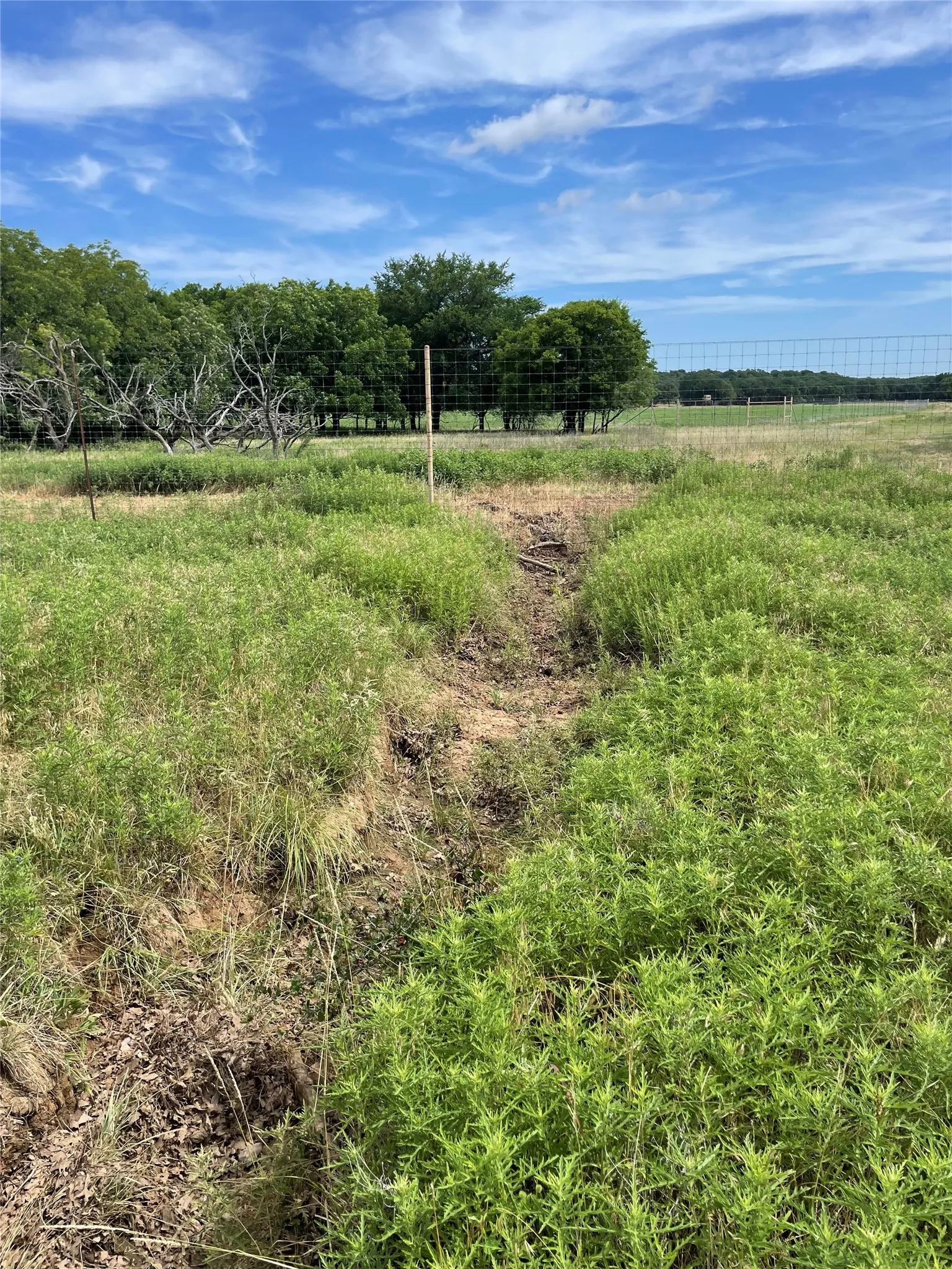 Unimproved Land For Sale in Jack County , 31.09 ac Hoefle Road, Jacksboro, Texas 76458, 0, 0, Garage spaces, 0 Sqft, built in 0, Price $450,805, mls#21275073, Real Estate Agent in Jacksboro, Homes For Sale in Jack county, Homes For Sale in Jacksboro, Realtor in Jacksboro Texas, Real Estate Brokerage Independent Realty Texas, Luminita Cordes Realtor