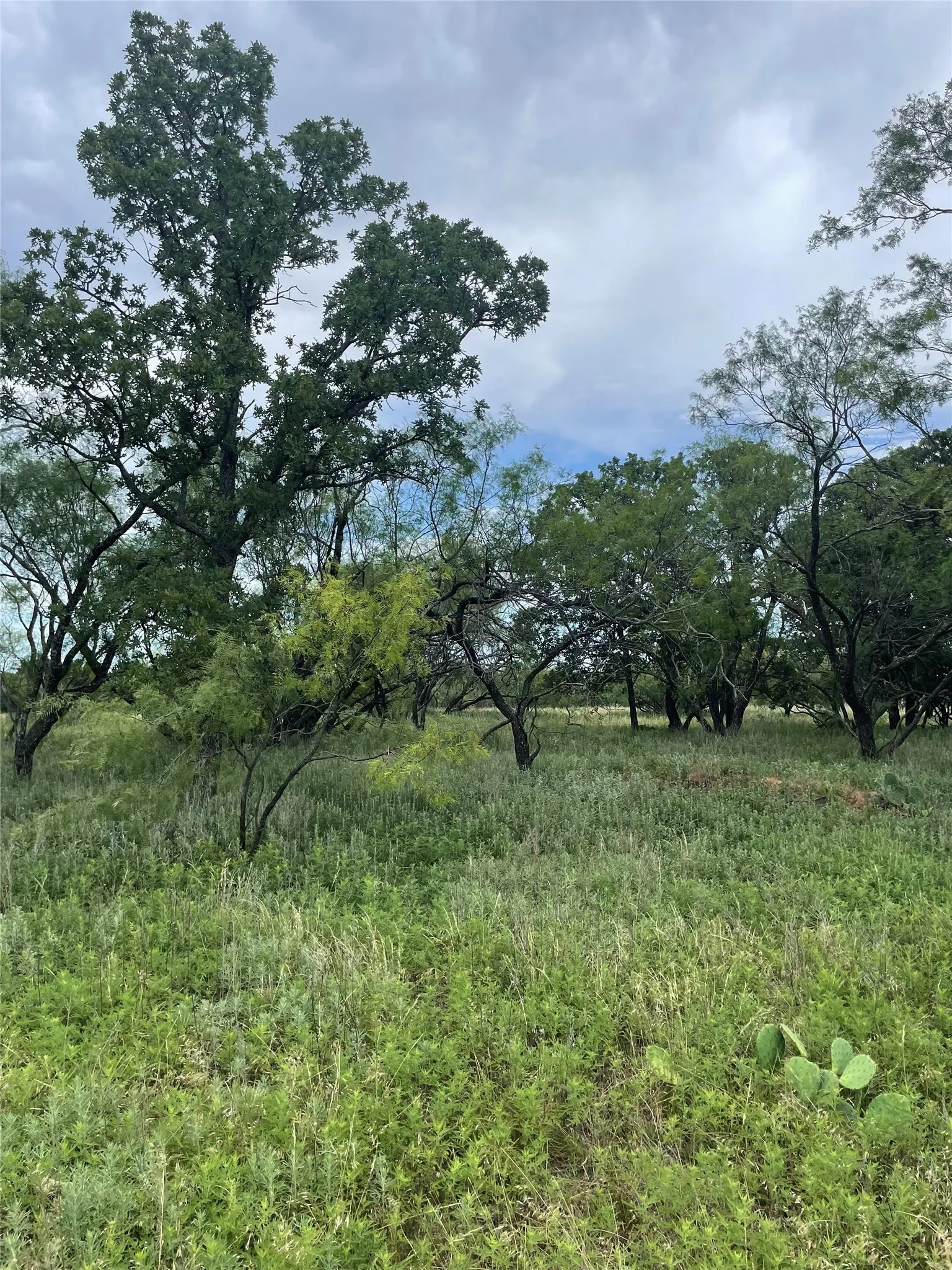 Unimproved Land For Sale in Jack County , 31.09 ac Hoefle Road, Jacksboro, Texas 76458, 0, 0, Garage spaces, 0 Sqft, built in 0, Price $450,805, mls#21275073, Real Estate Agent in Jacksboro, Homes For Sale in Jack county, Homes For Sale in Jacksboro, Realtor in Jacksboro Texas, Real Estate Brokerage Independent Realty Texas, Luminita Cordes Realtor
