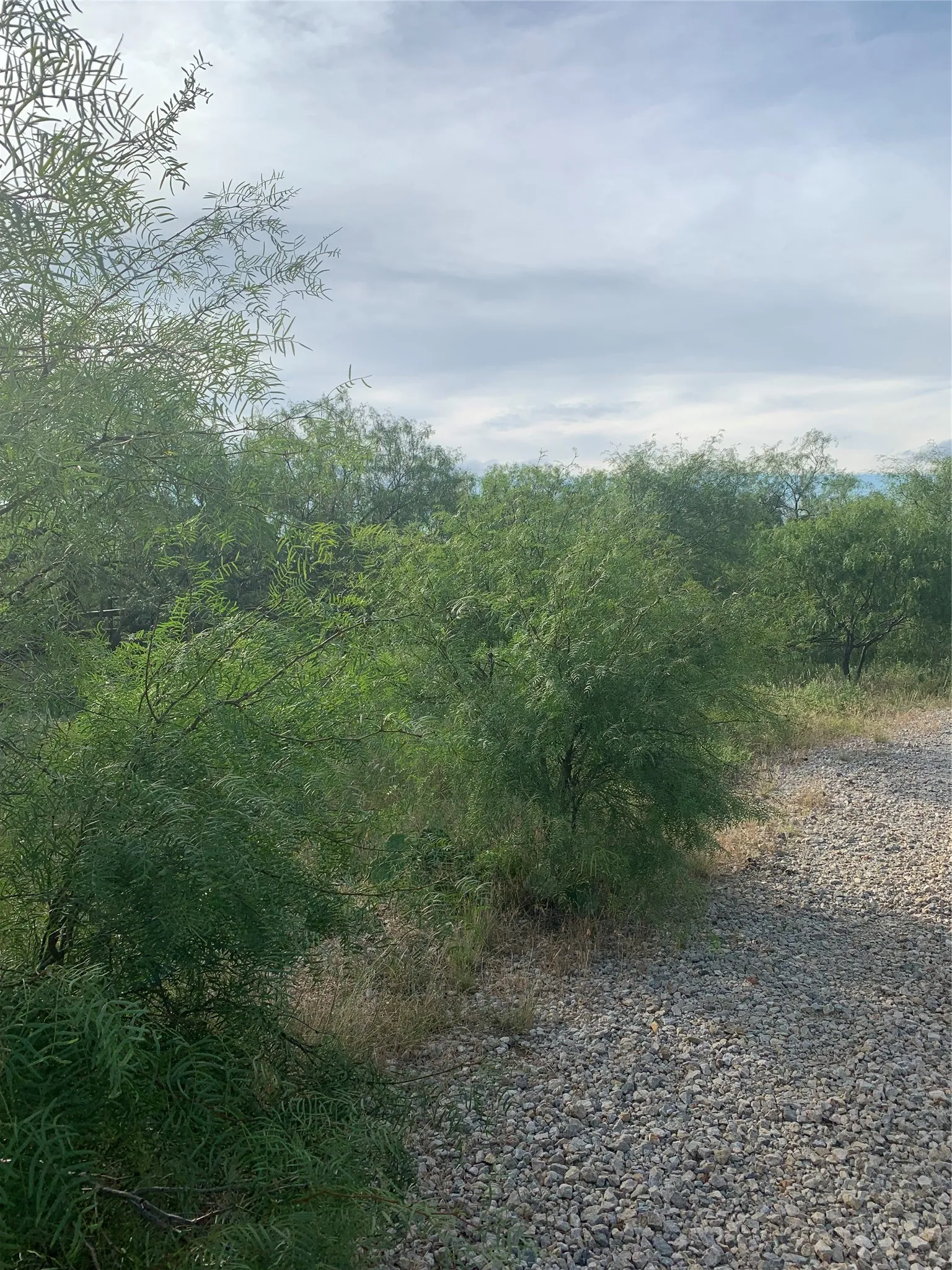 Unimproved Land For Sale in Jack County , 31.09 ac Hoefle Road, Jacksboro, Texas 76458, 0, 0, Garage spaces, 0 Sqft, built in 0, Price $450,805, mls#21275073, Real Estate Agent in Jacksboro, Homes For Sale in Jack county, Homes For Sale in Jacksboro, Realtor in Jacksboro Texas, Real Estate Brokerage Independent Realty Texas, Luminita Cordes Realtor