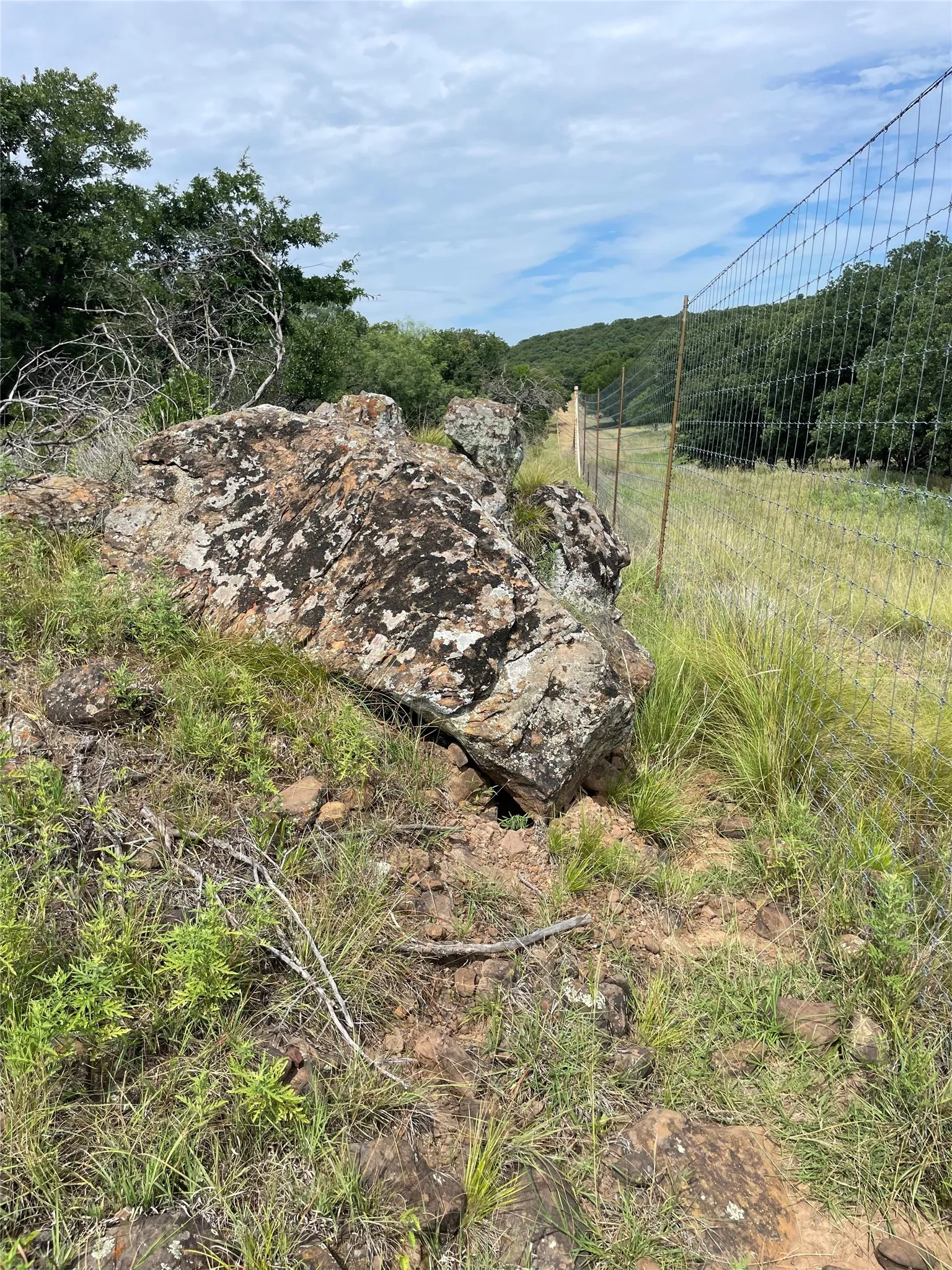 Unimproved Land For Sale in Jack County , 31.09 ac Hoefle Road, Jacksboro, Texas 76458, 0, 0, Garage spaces, 0 Sqft, built in 0, Price $450,805, mls#21275073, Real Estate Agent in Jacksboro, Homes For Sale in Jack county, Homes For Sale in Jacksboro, Realtor in Jacksboro Texas, Real Estate Brokerage Independent Realty Texas, Luminita Cordes Realtor