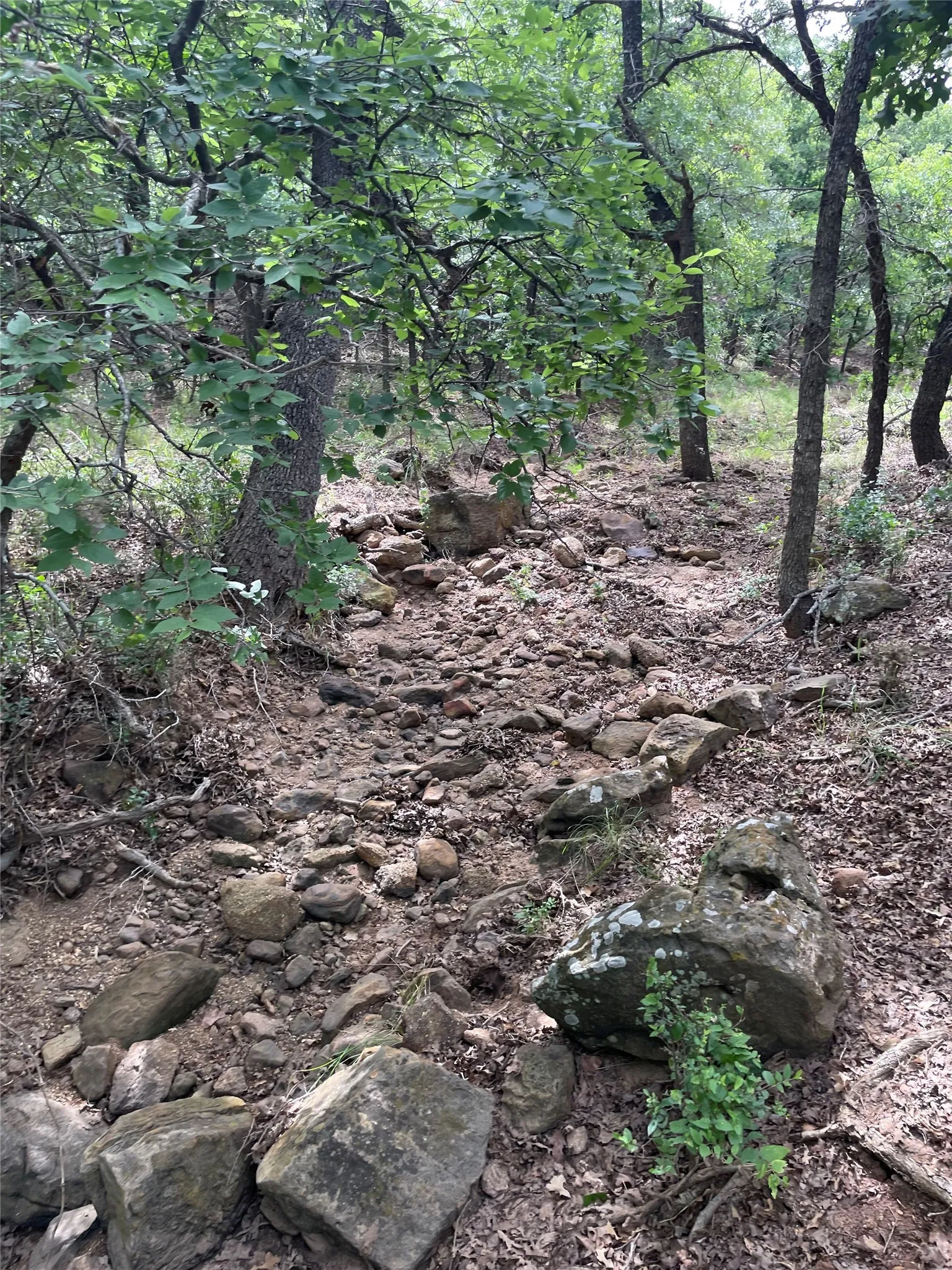 Unimproved Land For Sale in Jack County , 31.09 ac Hoefle Road, Jacksboro, Texas 76458, 0, 0, Garage spaces, 0 Sqft, built in 0, Price $450,805, mls#21275073, Real Estate Agent in Jacksboro, Homes For Sale in Jack county, Homes For Sale in Jacksboro, Realtor in Jacksboro Texas, Real Estate Brokerage Independent Realty Texas, Luminita Cordes Realtor