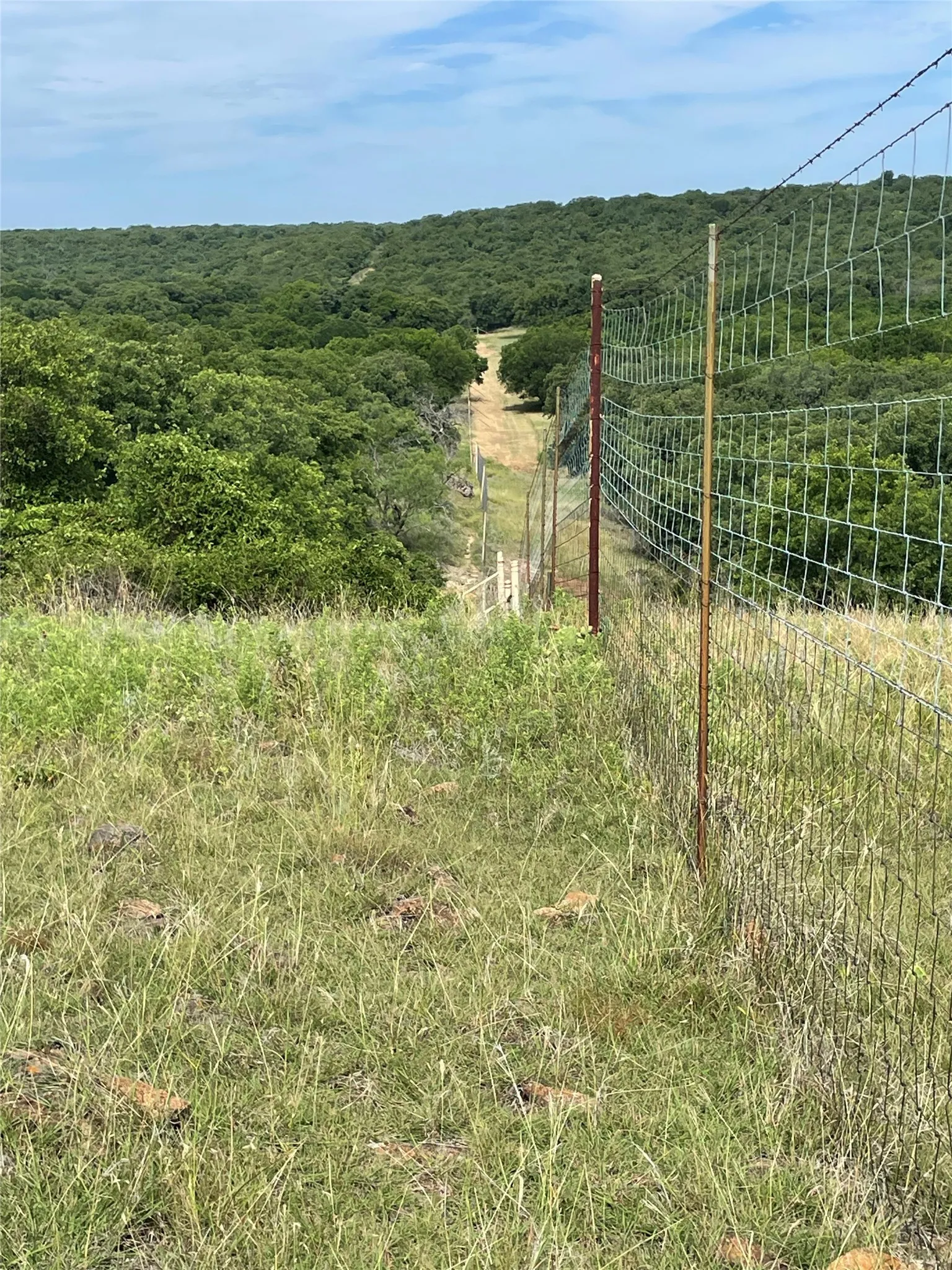 Unimproved Land For Sale in Jack County , 31.09 ac Hoefle Road, Jacksboro, Texas 76458, 0, 0, Garage spaces, 0 Sqft, built in 0, Price $450,805, mls#21275073, Real Estate Agent in Jacksboro, Homes For Sale in Jack county, Homes For Sale in Jacksboro, Realtor in Jacksboro Texas, Real Estate Brokerage Independent Realty Texas, Luminita Cordes Realtor