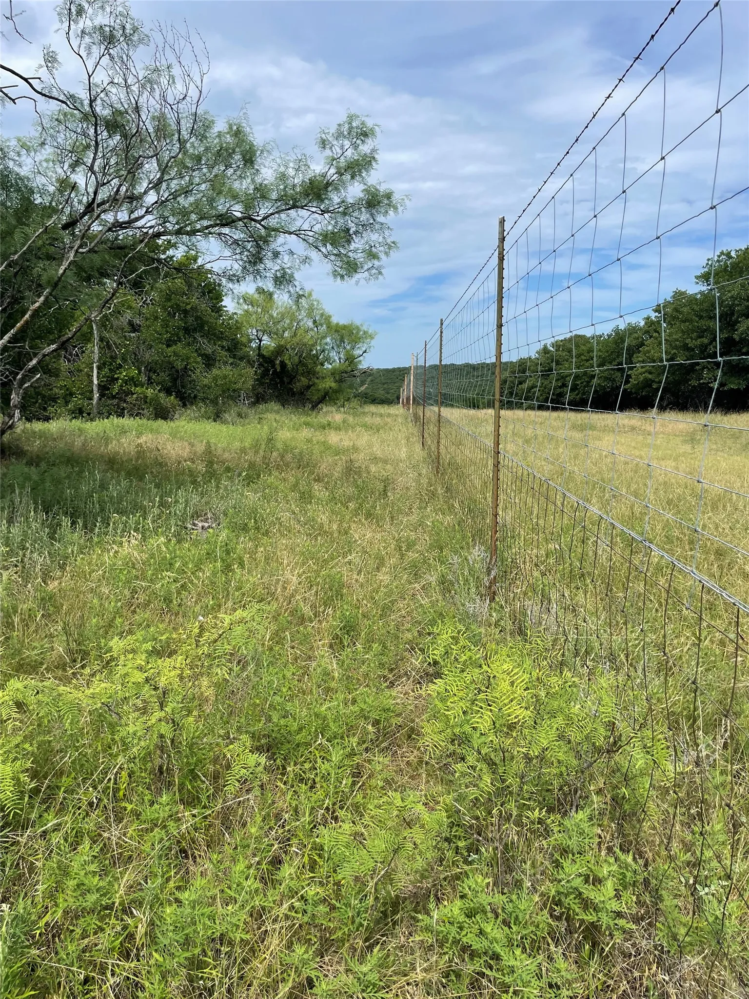 Unimproved Land For Sale in Jack County , 31.09 ac Hoefle Road, Jacksboro, Texas 76458, 0, 0, Garage spaces, 0 Sqft, built in 0, Price $450,805, mls#21275073, Real Estate Agent in Jacksboro, Homes For Sale in Jack county, Homes For Sale in Jacksboro, Realtor in Jacksboro Texas, Real Estate Brokerage Independent Realty Texas, Luminita Cordes Realtor