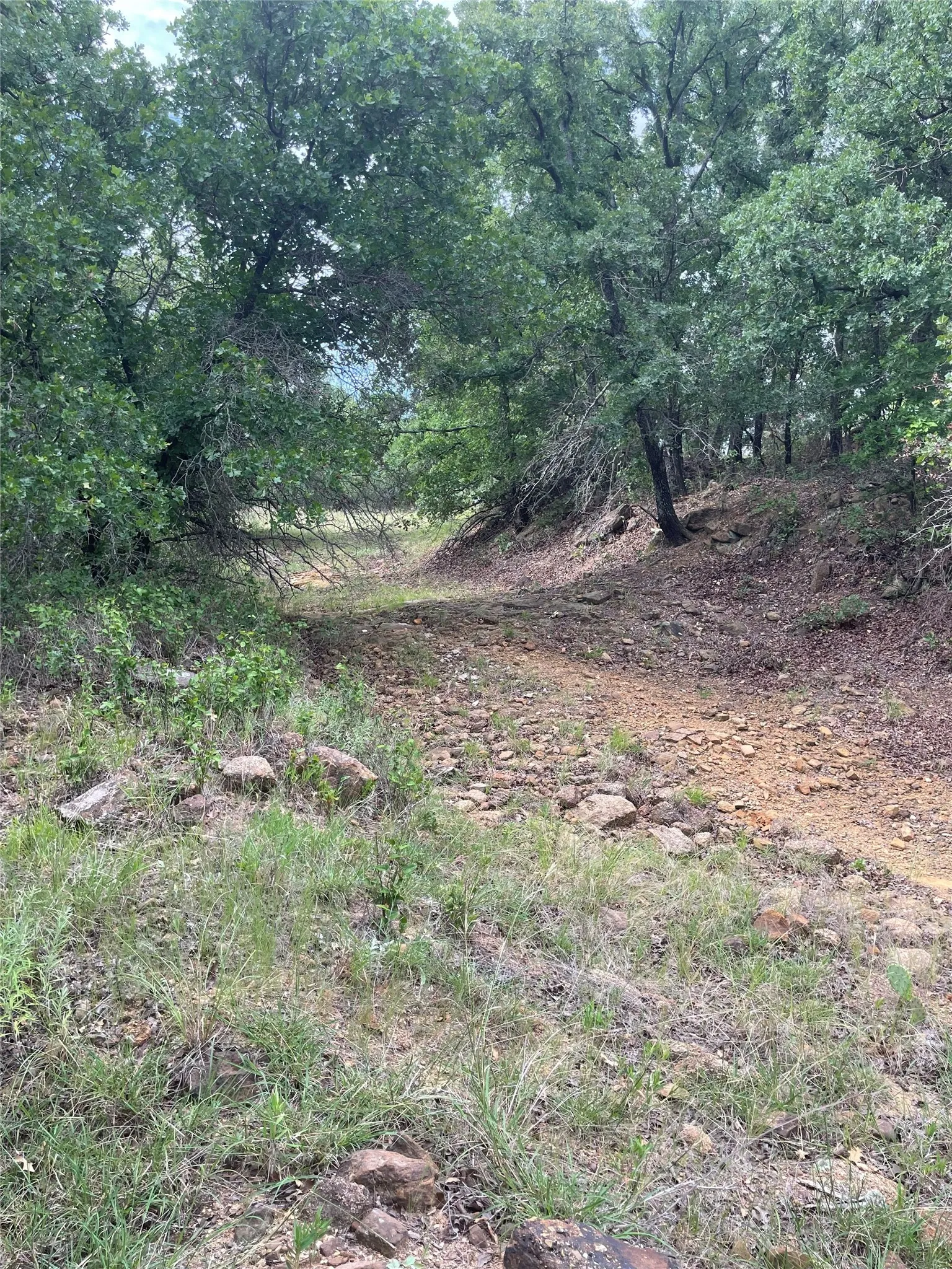 Unimproved Land For Sale in Jack County , 31.09 ac Hoefle Road, Jacksboro, Texas 76458, 0, 0, Garage spaces, 0 Sqft, built in 0, Price $450,805, mls#21275073, Real Estate Agent in Jacksboro, Homes For Sale in Jack county, Homes For Sale in Jacksboro, Realtor in Jacksboro Texas, Real Estate Brokerage Independent Realty Texas, Luminita Cordes Realtor