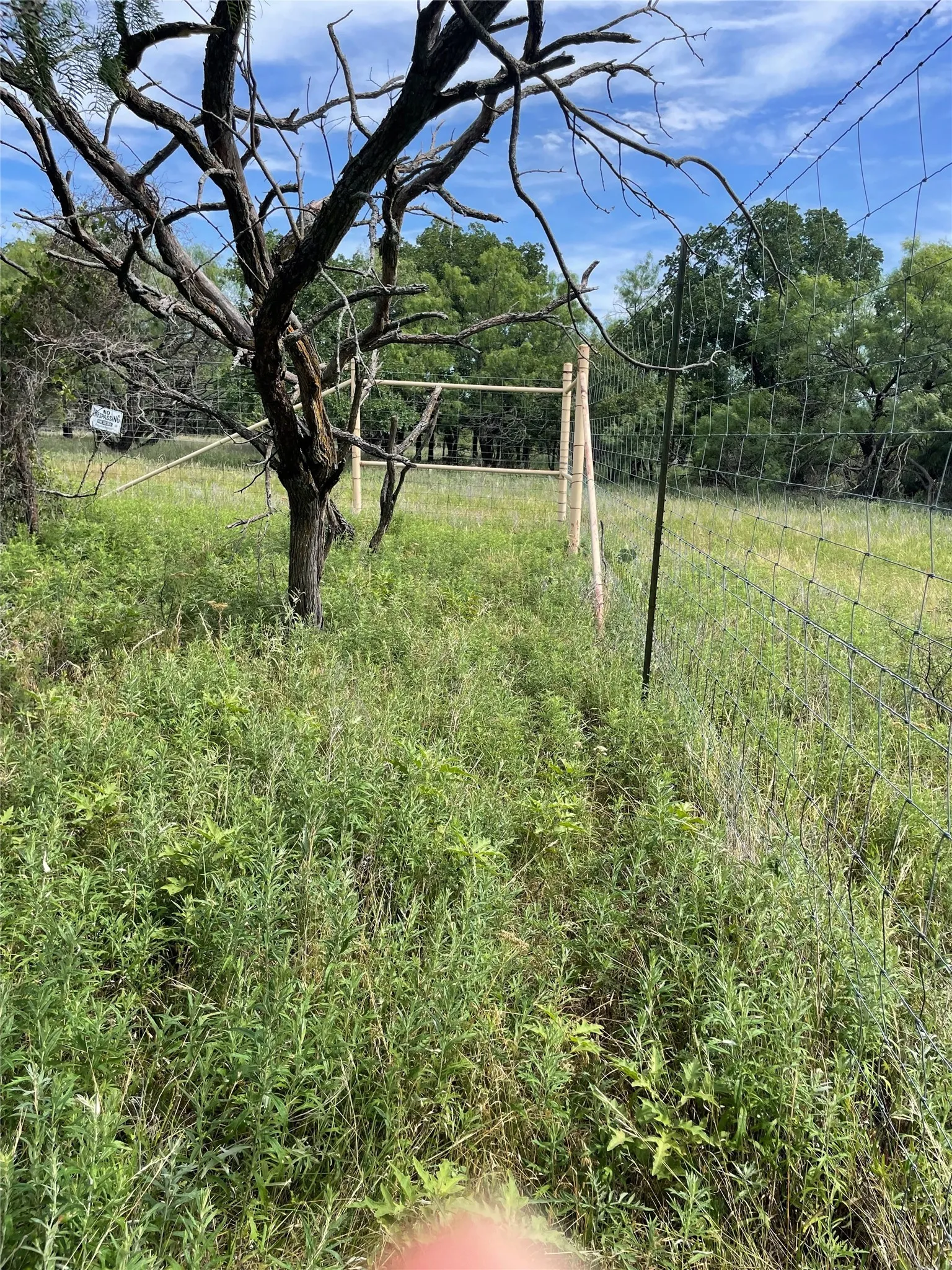 Unimproved Land For Sale in Jack County , 31.09 ac Hoefle Road, Jacksboro, Texas 76458, 0, 0, Garage spaces, 0 Sqft, built in 0, Price $450,805, mls#21275073, Real Estate Agent in Jacksboro, Homes For Sale in Jack county, Homes For Sale in Jacksboro, Realtor in Jacksboro Texas, Real Estate Brokerage Independent Realty Texas, Luminita Cordes Realtor