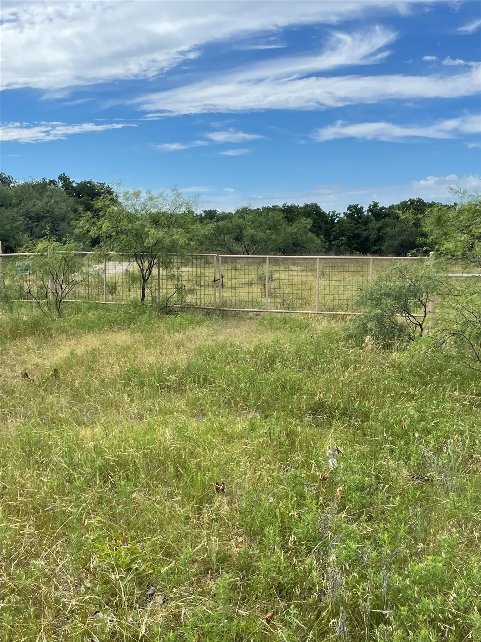 Unimproved Land For Sale in Jack County , 31.09 ac Hoefle Road, Jacksboro, Texas 76458, 0, 0, Garage spaces, 0 Sqft, built in 0, Price $450,805, mls#21275073, Real Estate Agent in Jacksboro, Homes For Sale in Jack county, Homes For Sale in Jacksboro, Realtor in Jacksboro Texas, Real Estate Brokerage Independent Realty Texas, Luminita Cordes Realtor