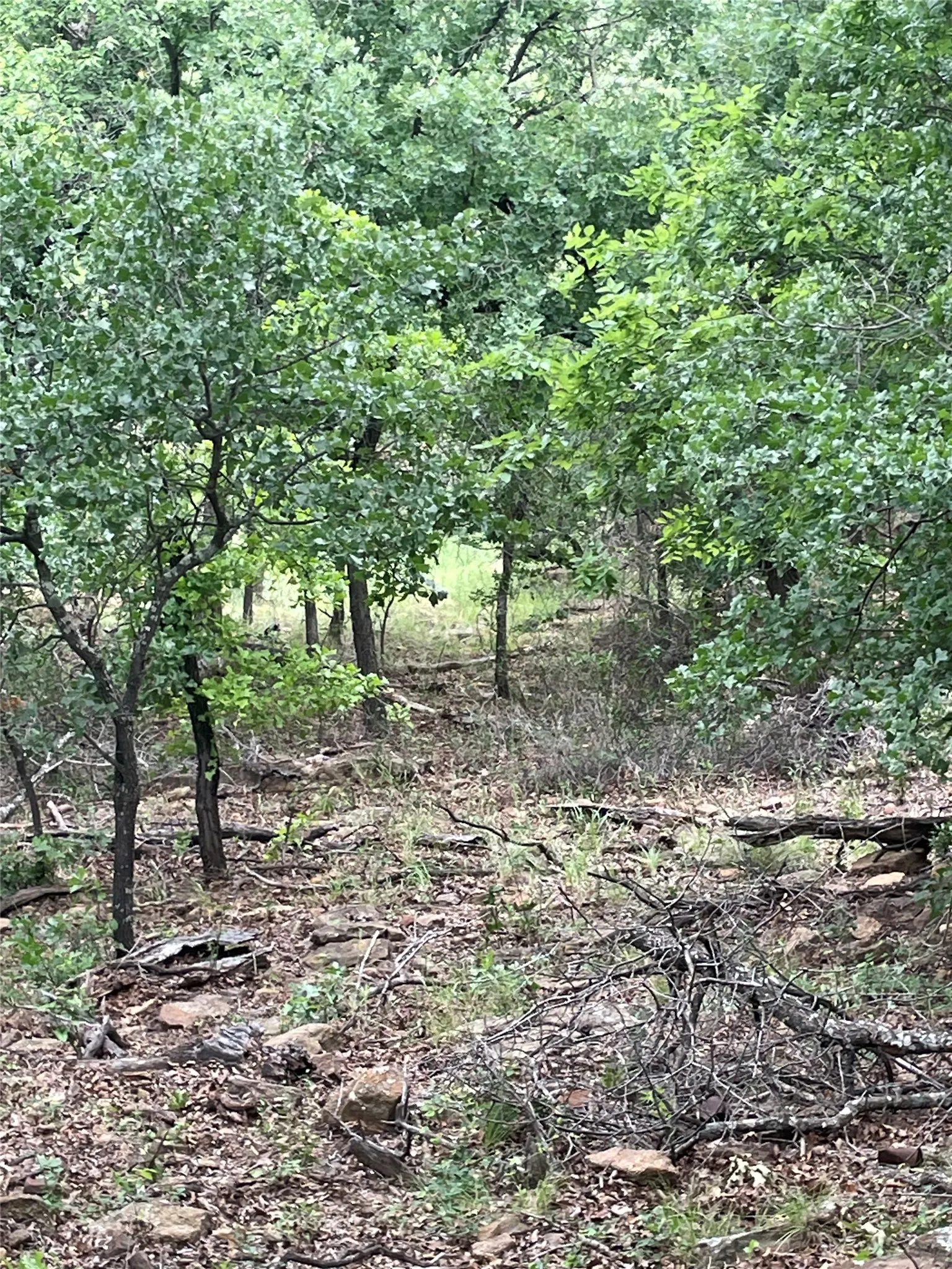 Unimproved Land For Sale in Jack County , 31.09 ac Hoefle Road, Jacksboro, Texas 76458, 0, 0, Garage spaces, 0 Sqft, built in 0, Price $450,805, mls#21275073, Real Estate Agent in Jacksboro, Homes For Sale in Jack county, Homes For Sale in Jacksboro, Realtor in Jacksboro Texas, Real Estate Brokerage Independent Realty Texas, Luminita Cordes Realtor
