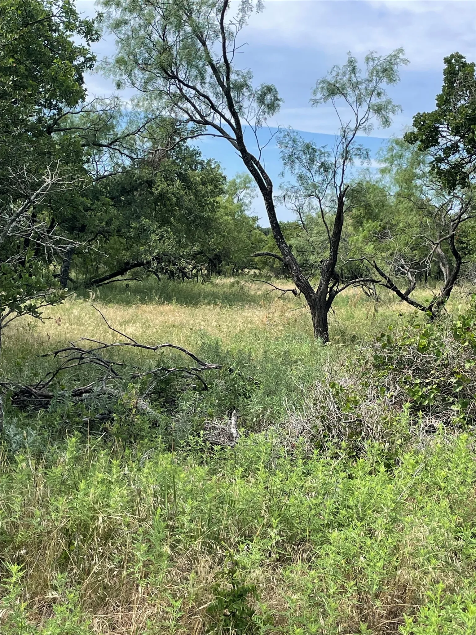 Unimproved Land For Sale in Jack County , 31.09 ac Hoefle Road, Jacksboro, Texas 76458, 0, 0, Garage spaces, 0 Sqft, built in 0, Price $450,805, mls#21275073, Real Estate Agent in Jacksboro, Homes For Sale in Jack county, Homes For Sale in Jacksboro, Realtor in Jacksboro Texas, Real Estate Brokerage Independent Realty Texas, Luminita Cordes Realtor