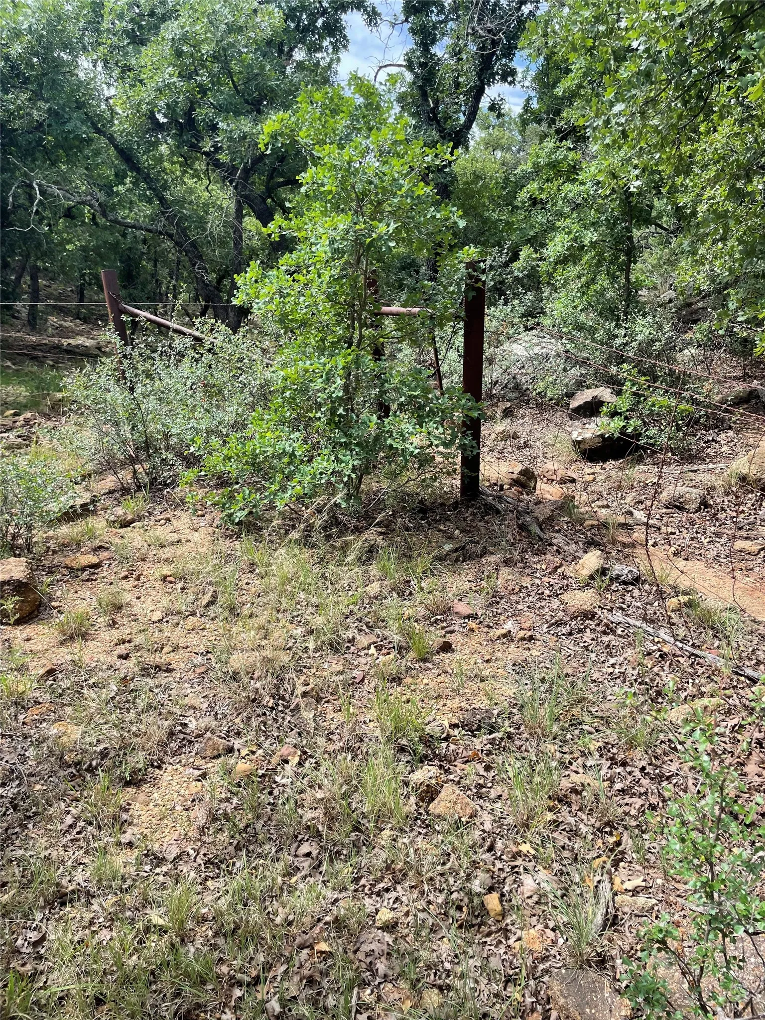 Unimproved Land For Sale in Jack County , 31.09 ac Hoefle Road, Jacksboro, Texas 76458, 0, 0, Garage spaces, 0 Sqft, built in 0, Price $450,805, mls#21275073, Real Estate Agent in Jacksboro, Homes For Sale in Jack county, Homes For Sale in Jacksboro, Realtor in Jacksboro Texas, Real Estate Brokerage Independent Realty Texas, Luminita Cordes Realtor