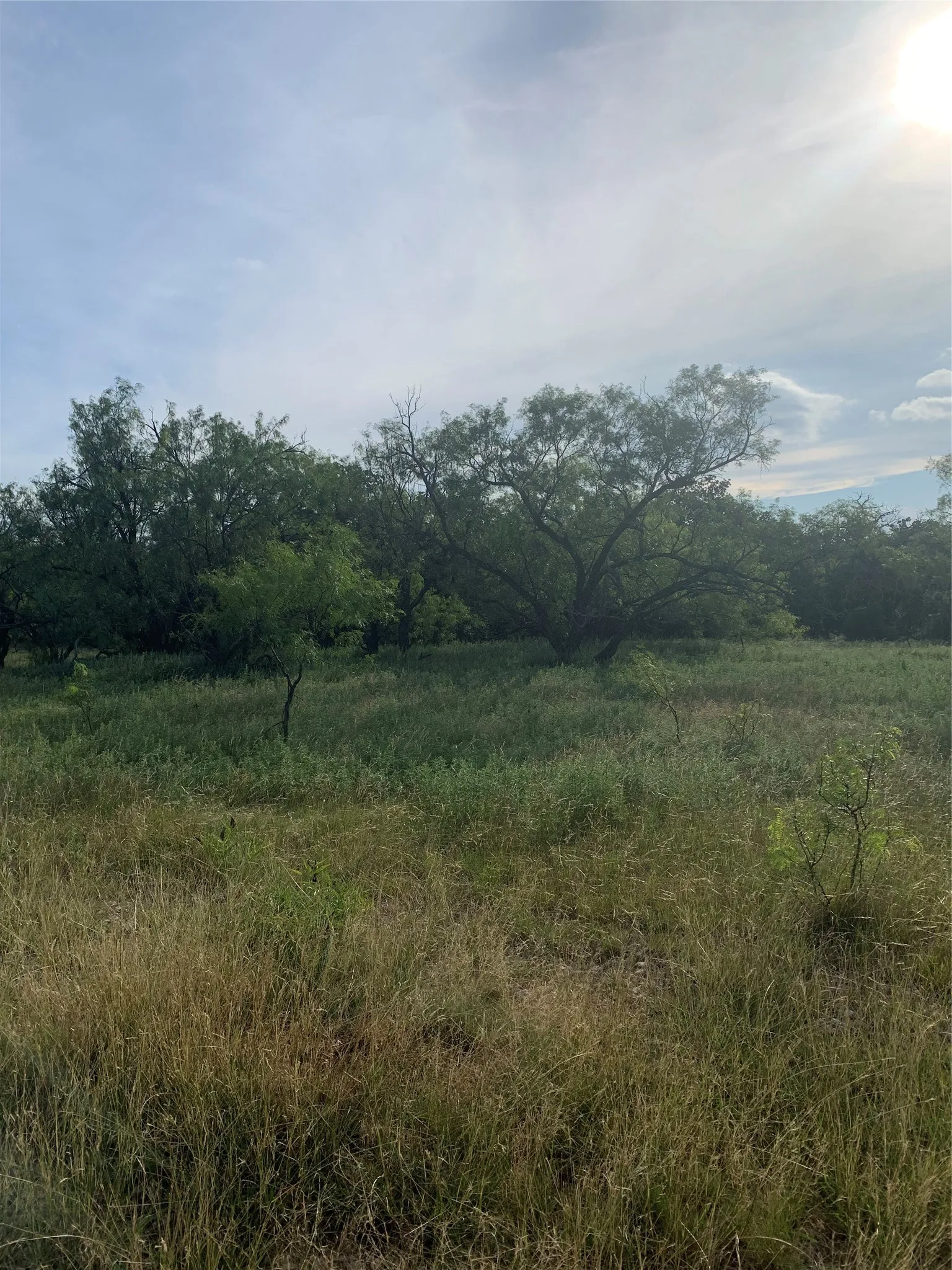 Unimproved Land For Sale in Jack County , 31.09 ac Hoefle Road, Jacksboro, Texas 76458, 0, 0, Garage spaces, 0 Sqft, built in 0, Price $450,805, mls#21275073, Real Estate Agent in Jacksboro, Homes For Sale in Jack county, Homes For Sale in Jacksboro, Realtor in Jacksboro Texas, Real Estate Brokerage Independent Realty Texas, Luminita Cordes Realtor