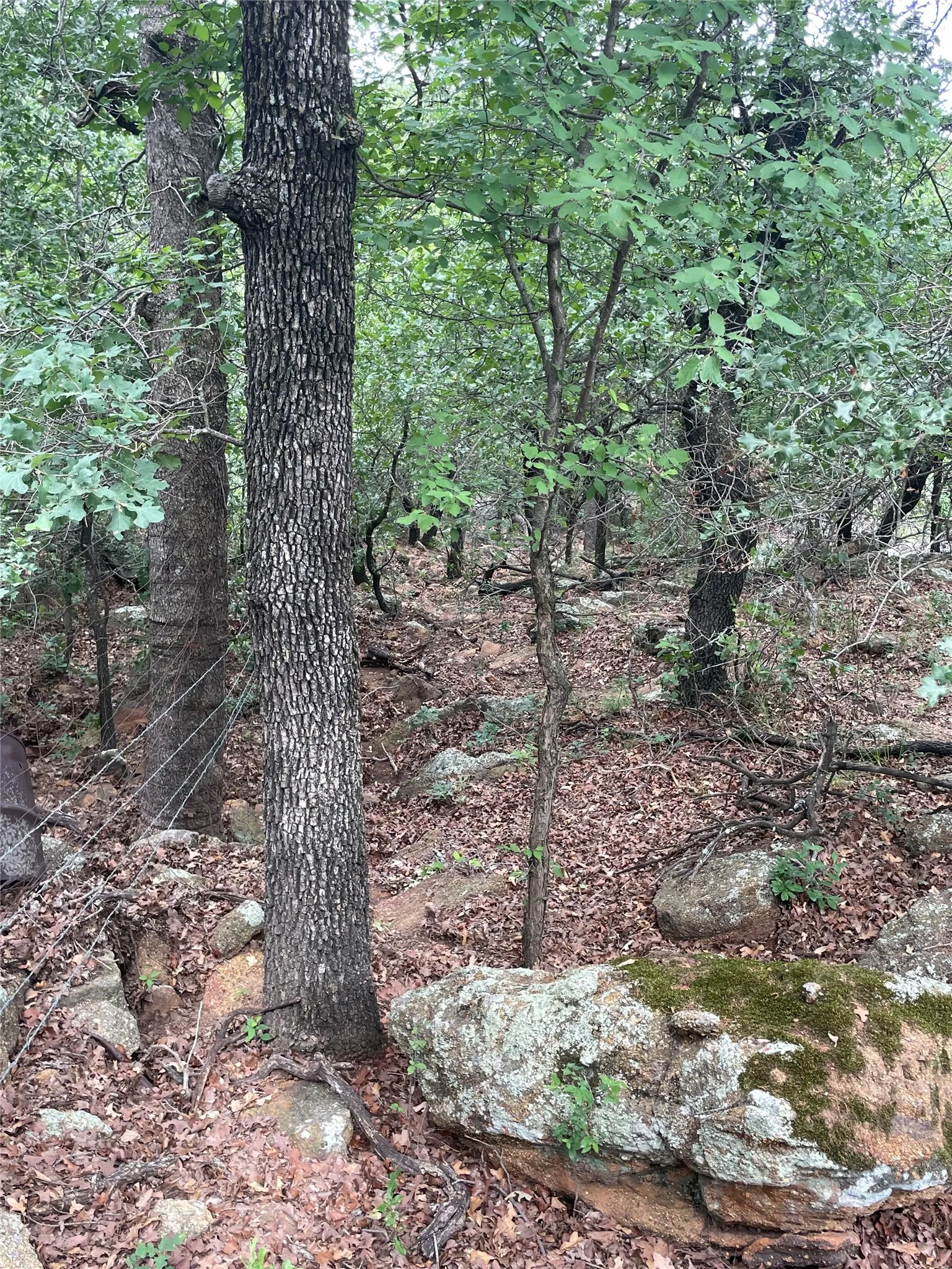 Unimproved Land For Sale in Jack County , 31.09 ac Hoefle Road, Jacksboro, Texas 76458, 0, 0, Garage spaces, 0 Sqft, built in 0, Price $450,805, mls#21275073, Real Estate Agent in Jacksboro, Homes For Sale in Jack county, Homes For Sale in Jacksboro, Realtor in Jacksboro Texas, Real Estate Brokerage Independent Realty Texas, Luminita Cordes Realtor