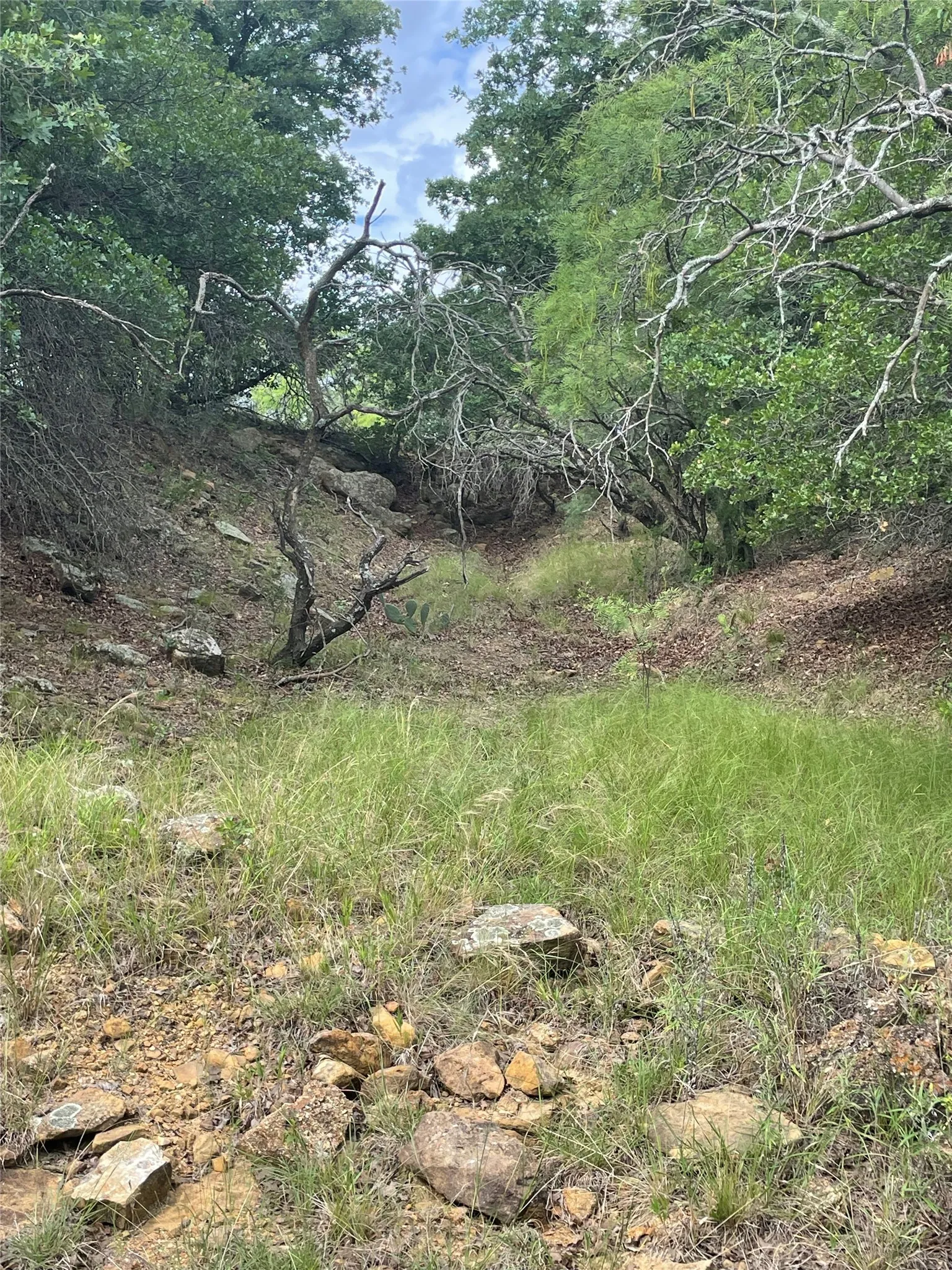 Unimproved Land For Sale in Jack County , 31.09 ac Hoefle Road, Jacksboro, Texas 76458, 0, 0, Garage spaces, 0 Sqft, built in 0, Price $450,805, mls#21275073, Real Estate Agent in Jacksboro, Homes For Sale in Jack county, Homes For Sale in Jacksboro, Realtor in Jacksboro Texas, Real Estate Brokerage Independent Realty Texas, Luminita Cordes Realtor