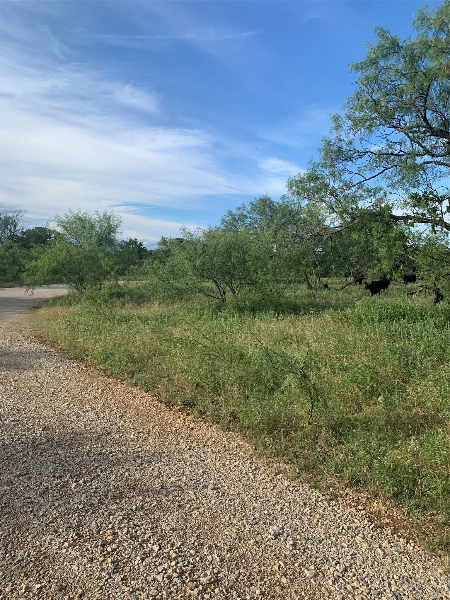 Unimproved Land For Sale in Jack County , 31.09 ac Hoefle Road, Jacksboro, Texas 76458, 0, 0, Garage spaces, 0 Sqft, built in 0, Price $450,805, mls#21275073, Real Estate Agent in Jacksboro, Homes For Sale in Jack county, Homes For Sale in Jacksboro, Realtor in Jacksboro Texas, Real Estate Brokerage Independent Realty Texas, Luminita Cordes Realtor