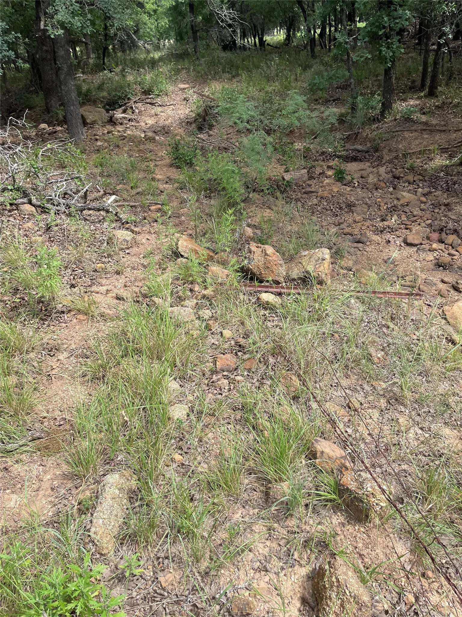 Unimproved Land For Sale in Jack County , 31.09 ac Hoefle Road, Jacksboro, Texas 76458, 0, 0, Garage spaces, 0 Sqft, built in 0, Price $450,805, mls#21275073, Real Estate Agent in Jacksboro, Homes For Sale in Jack county, Homes For Sale in Jacksboro, Realtor in Jacksboro Texas, Real Estate Brokerage Independent Realty Texas, Luminita Cordes Realtor