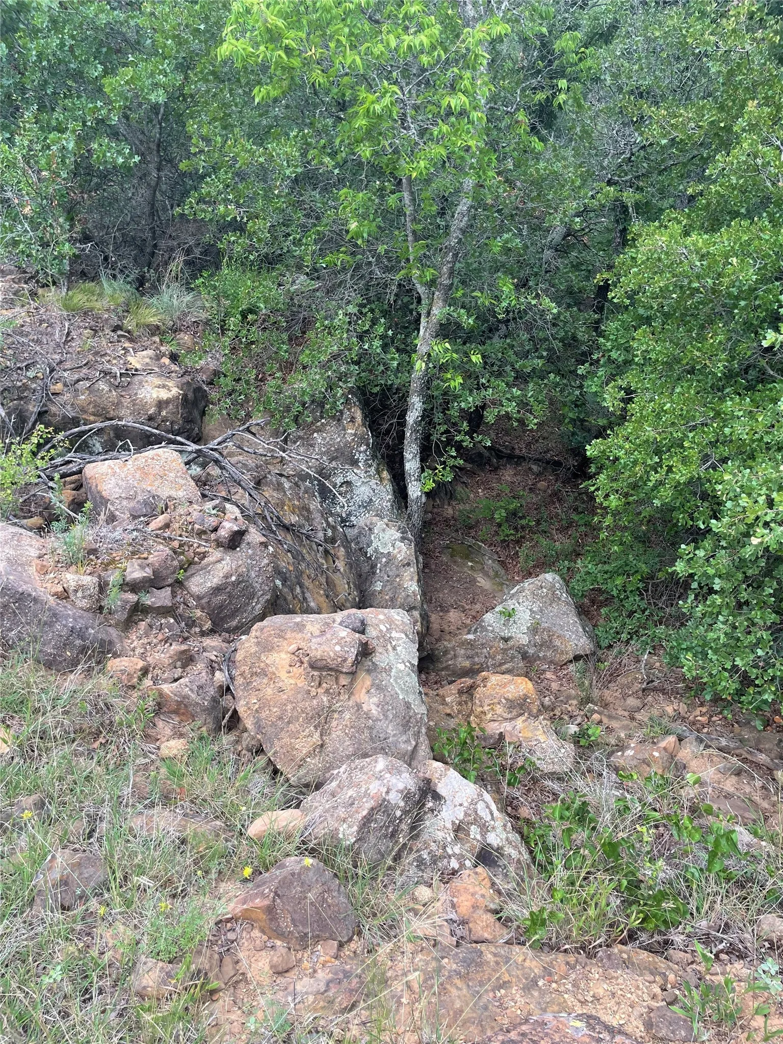 Unimproved Land For Sale in Jack County , 31.09 ac Hoefle Road, Jacksboro, Texas 76458, 0, 0, Garage spaces, 0 Sqft, built in 0, Price $450,805, mls#21275073, Real Estate Agent in Jacksboro, Homes For Sale in Jack county, Homes For Sale in Jacksboro, Realtor in Jacksboro Texas, Real Estate Brokerage Independent Realty Texas, Luminita Cordes Realtor