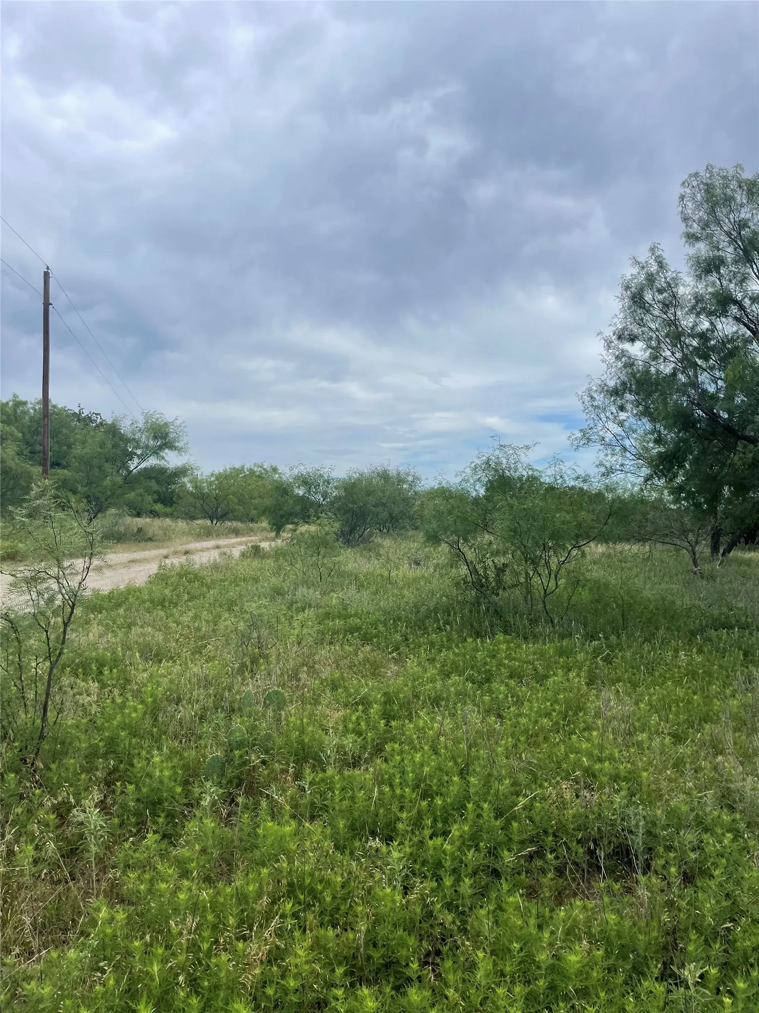 Unimproved Land For Sale in Jack County , 31.09 ac Hoefle Road, Jacksboro, Texas 76458, 0, 0, Garage spaces, 0 Sqft, built in 0, Price $450,805, mls#21275073, Real Estate Agent in Jacksboro, Homes For Sale in Jack county, Homes For Sale in Jacksboro, Realtor in Jacksboro Texas, Real Estate Brokerage Independent Realty Texas, Luminita Cordes Realtor