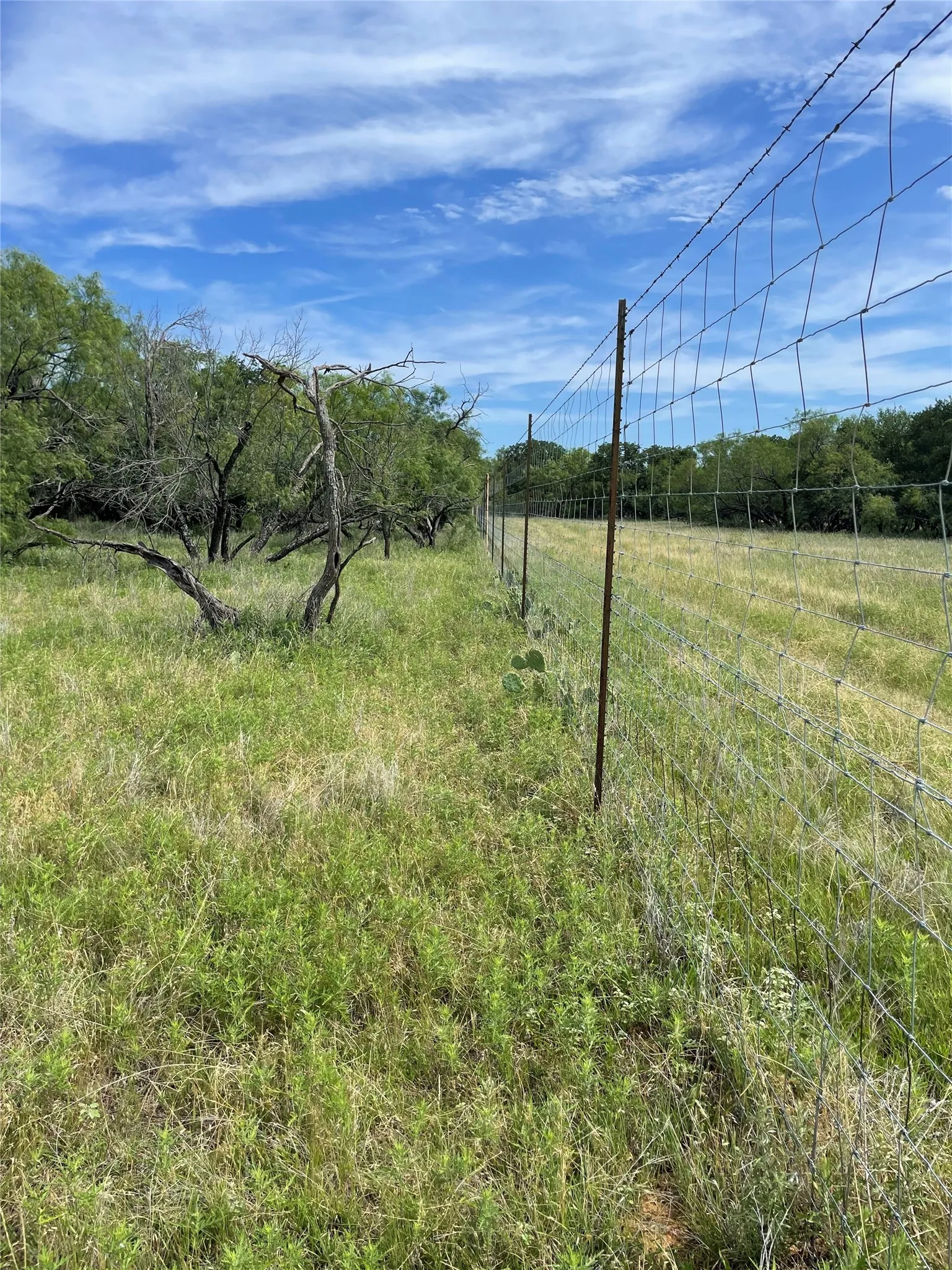 Unimproved Land For Sale in Jack County , 31.09 ac Hoefle Road, Jacksboro, Texas 76458, 0, 0, Garage spaces, 0 Sqft, built in 0, Price $450,805, mls#21275073, Real Estate Agent in Jacksboro, Homes For Sale in Jack county, Homes For Sale in Jacksboro, Realtor in Jacksboro Texas, Real Estate Brokerage Independent Realty Texas, Luminita Cordes Realtor