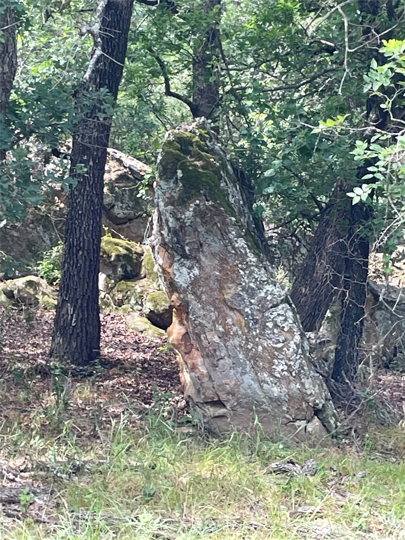 Unimproved Land For Sale in Jack County , 31.09 ac Hoefle Road, Jacksboro, Texas 76458, 0, 0, Garage spaces, 0 Sqft, built in 0, Price $450,805, mls#21275073, Real Estate Agent in Jacksboro, Homes For Sale in Jack county, Homes For Sale in Jacksboro, Realtor in Jacksboro Texas, Real Estate Brokerage Independent Realty Texas, Luminita Cordes Realtor