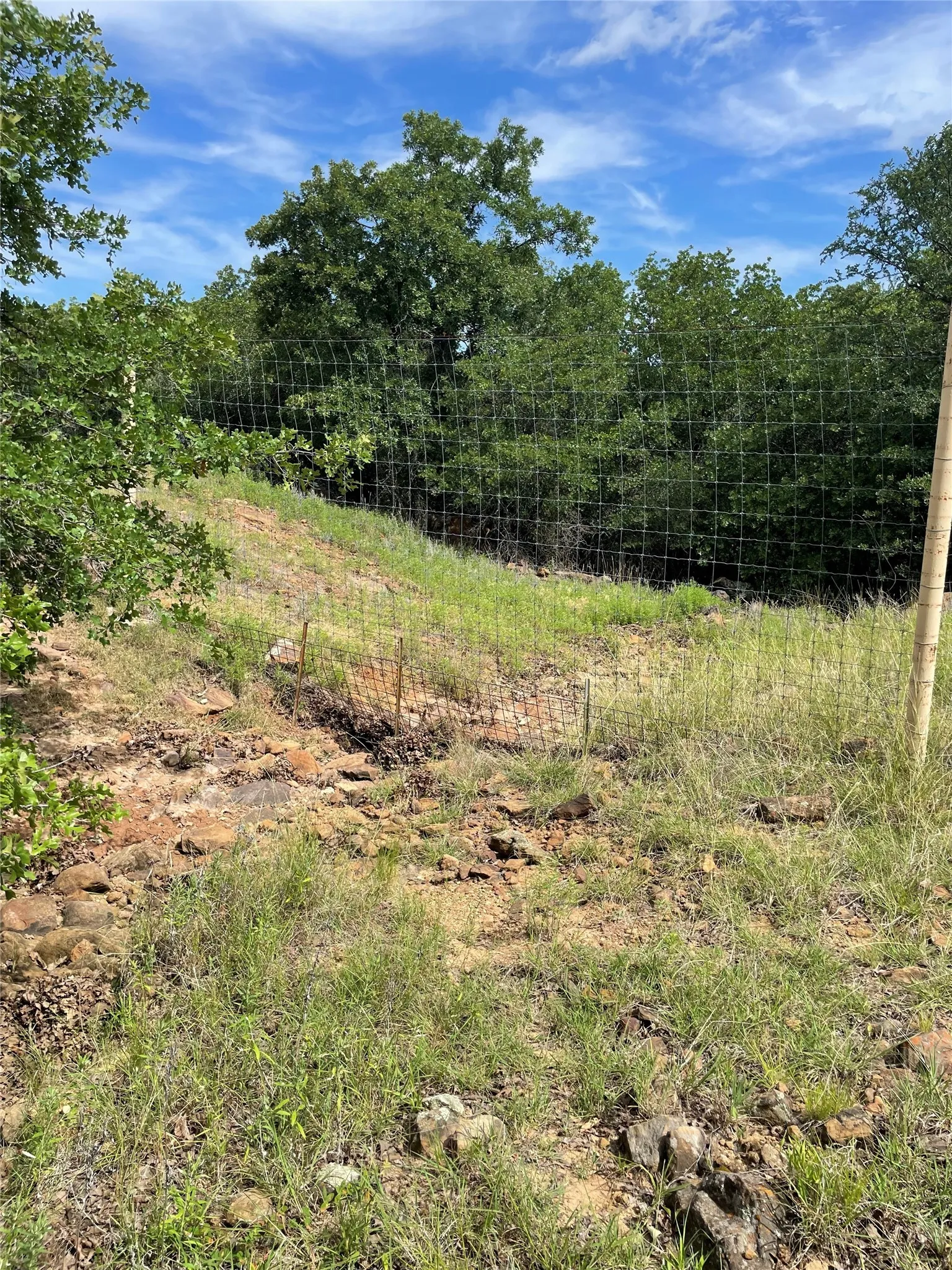 Unimproved Land For Sale in Jack County , 31.09 ac Hoefle Road, Jacksboro, Texas 76458, 0, 0, Garage spaces, 0 Sqft, built in 0, Price $450,805, mls#21275073, Real Estate Agent in Jacksboro, Homes For Sale in Jack county, Homes For Sale in Jacksboro, Realtor in Jacksboro Texas, Real Estate Brokerage Independent Realty Texas, Luminita Cordes Realtor