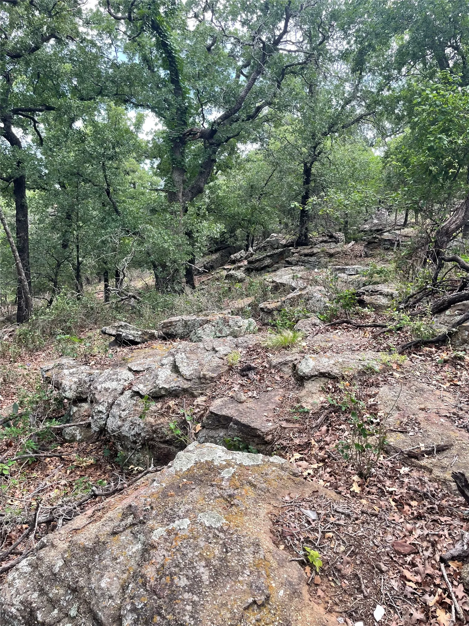 Unimproved Land For Sale in Jack County , 31.09 ac Hoefle Road, Jacksboro, Texas 76458, 0, 0, Garage spaces, 0 Sqft, built in 0, Price $450,805, mls#21275073, Real Estate Agent in Jacksboro, Homes For Sale in Jack county, Homes For Sale in Jacksboro, Realtor in Jacksboro Texas, Real Estate Brokerage Independent Realty Texas, Luminita Cordes Realtor