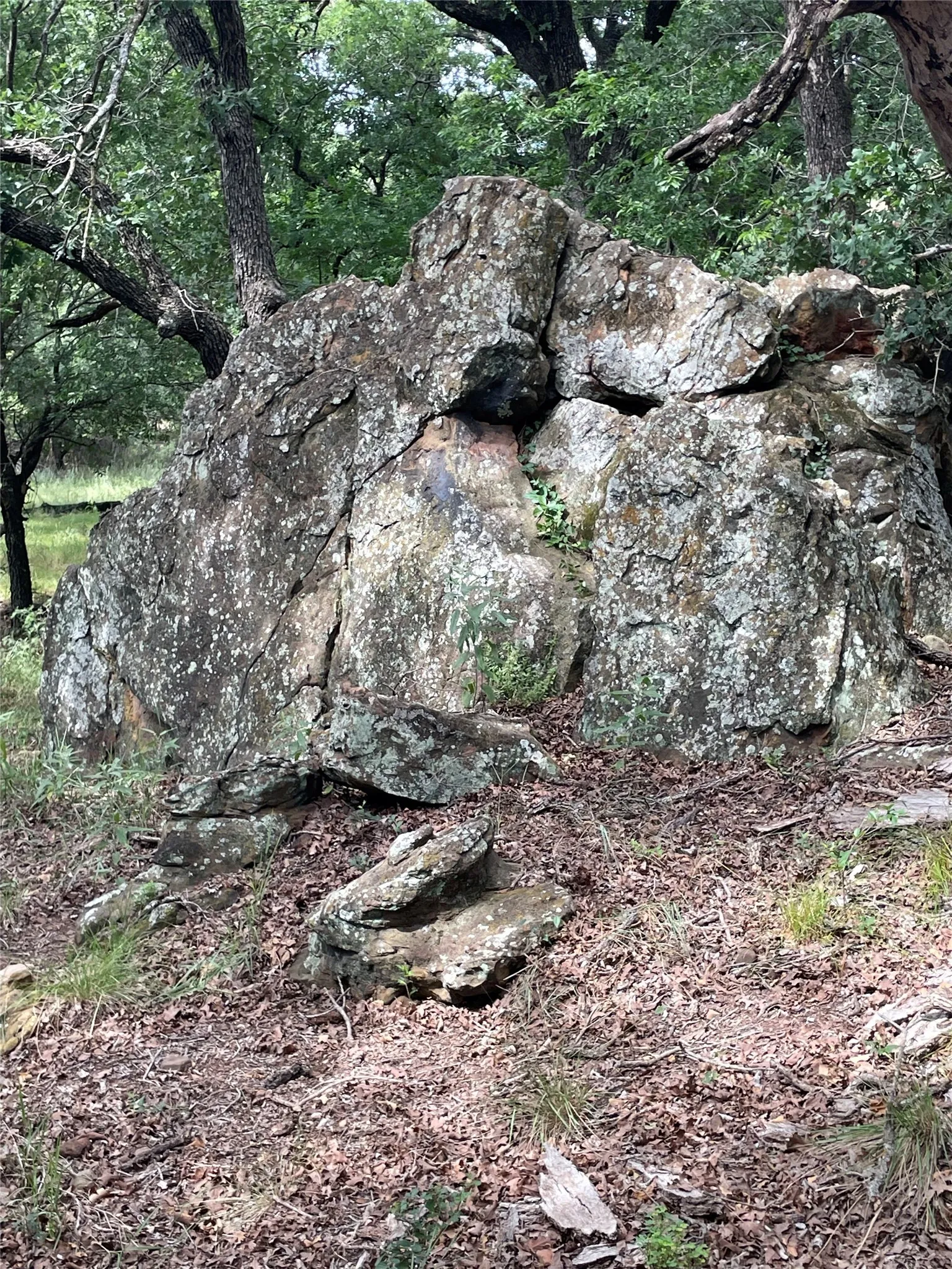 Unimproved Land For Sale in Jack County , 31.09 ac Hoefle Road, Jacksboro, Texas 76458, 0, 0, Garage spaces, 0 Sqft, built in 0, Price $450,805, mls#21275073, Real Estate Agent in Jacksboro, Homes For Sale in Jack county, Homes For Sale in Jacksboro, Realtor in Jacksboro Texas, Real Estate Brokerage Independent Realty Texas, Luminita Cordes Realtor