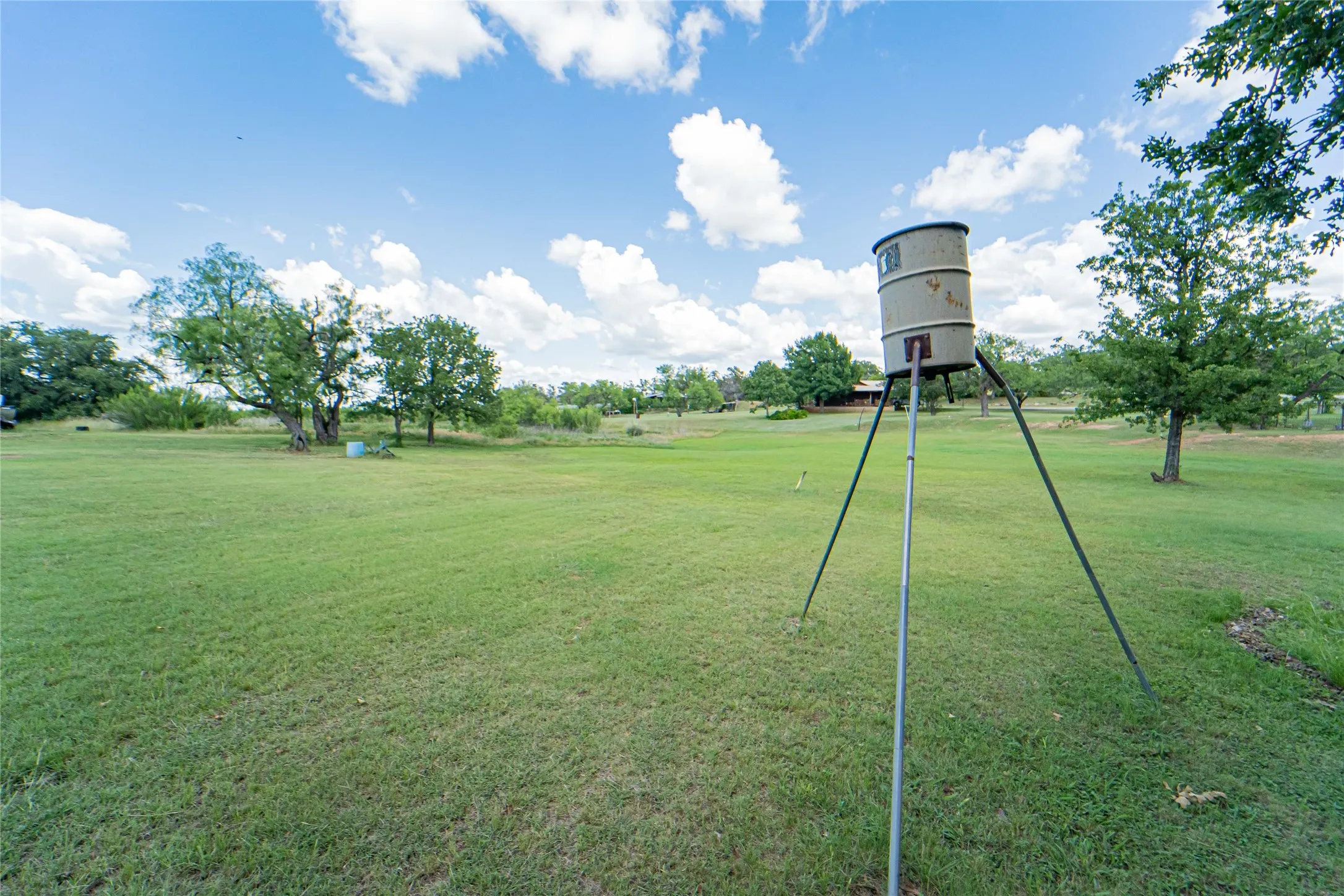 Expansive grassy grounds with scattered mature trees and open sky
