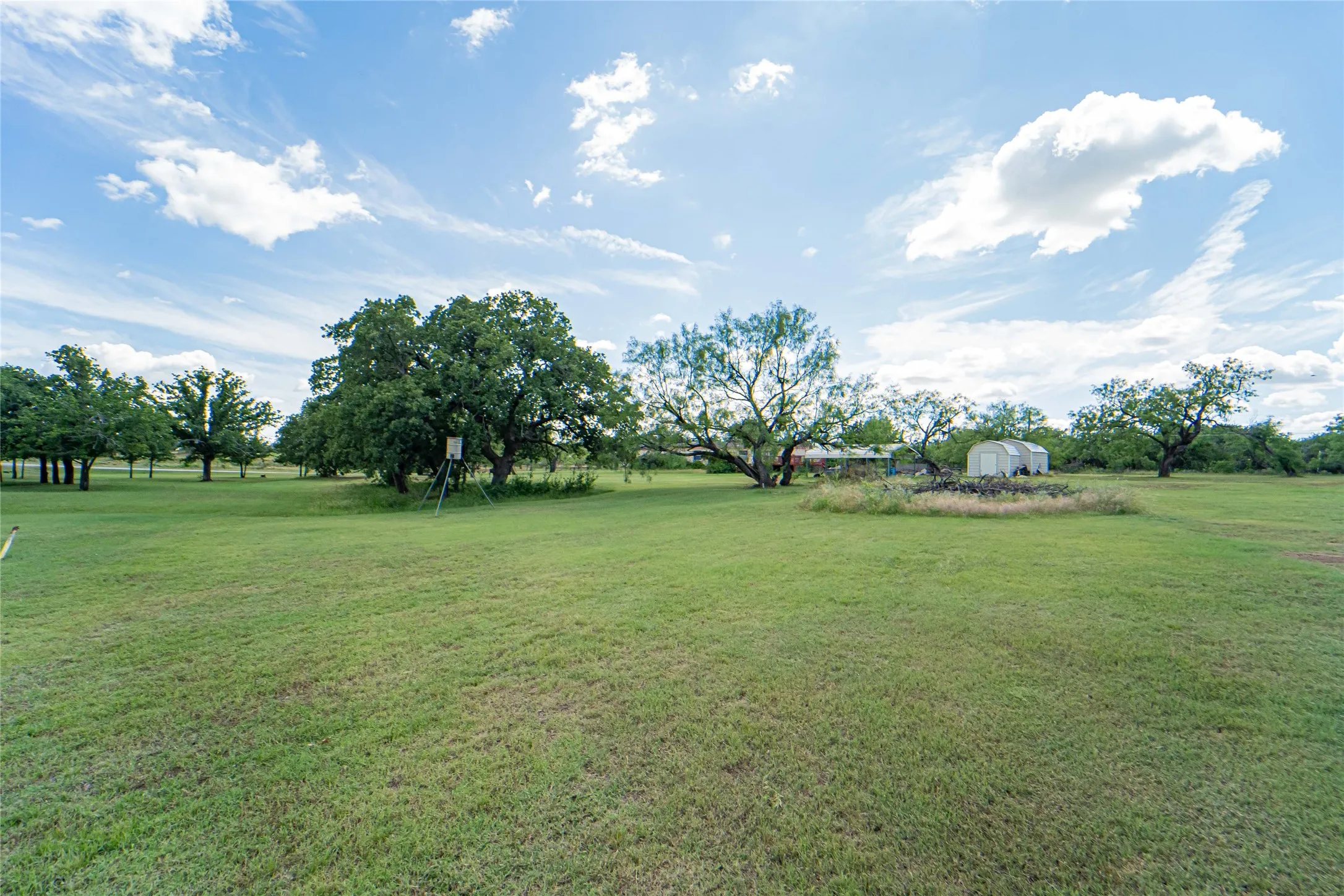 Expansive green spaces featuring mature trees and a clear blue sky