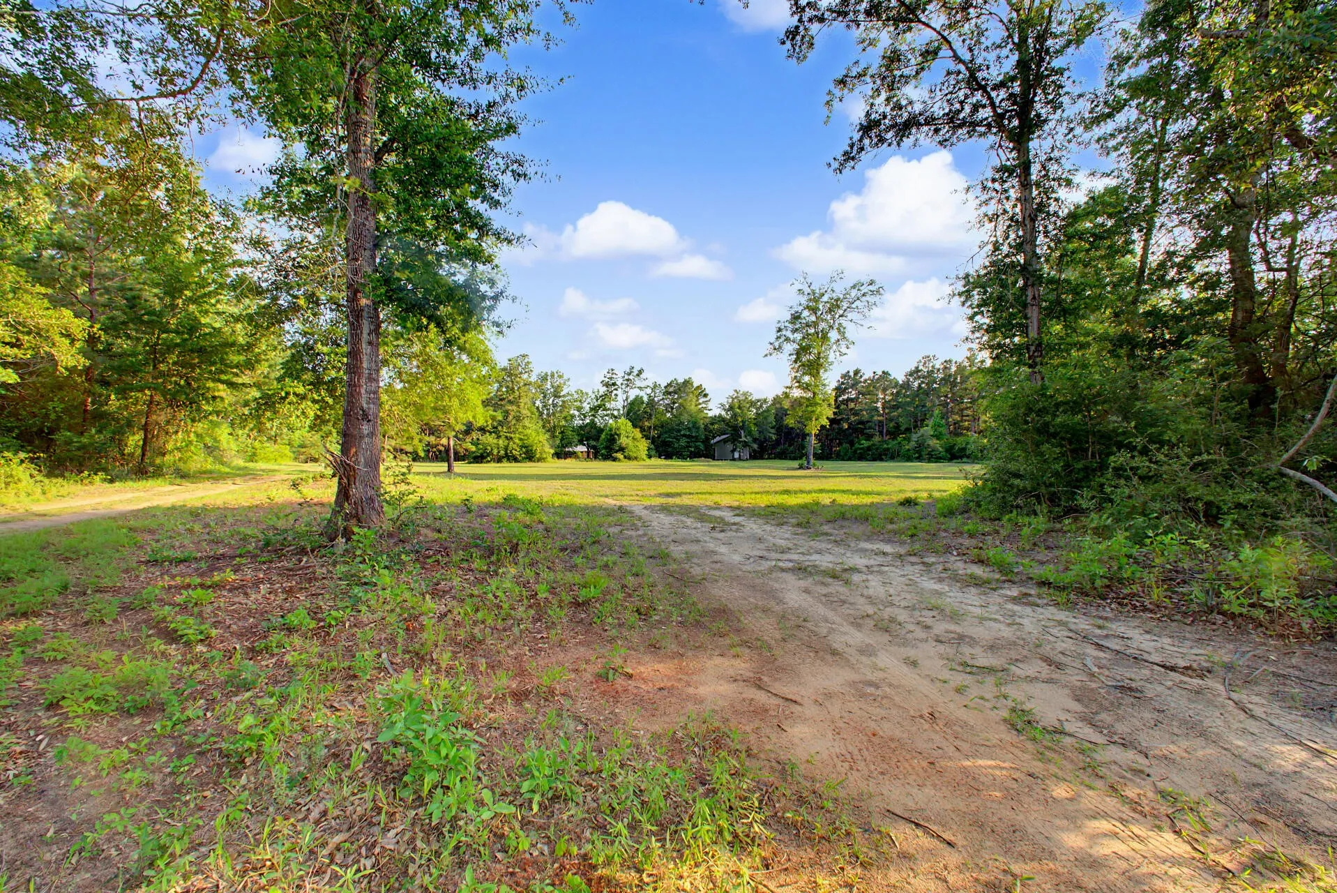 Single Family Residence For Sale in Anderson County , 2874 An County Road 335, Palestine, Texas 75803, 3 Bedroom, 2 Bathroom, Garage spaces, 1,710 Sqft, built in 2021, mls#21284447, Real Estate Agent in Palestine, Homes For Sale in Anderson county, Homes For Sale in Palestine, Realtor in Palestine Texas, Real Estate Brokerage Independent Realty Texas, Luminita Cordes Realtor