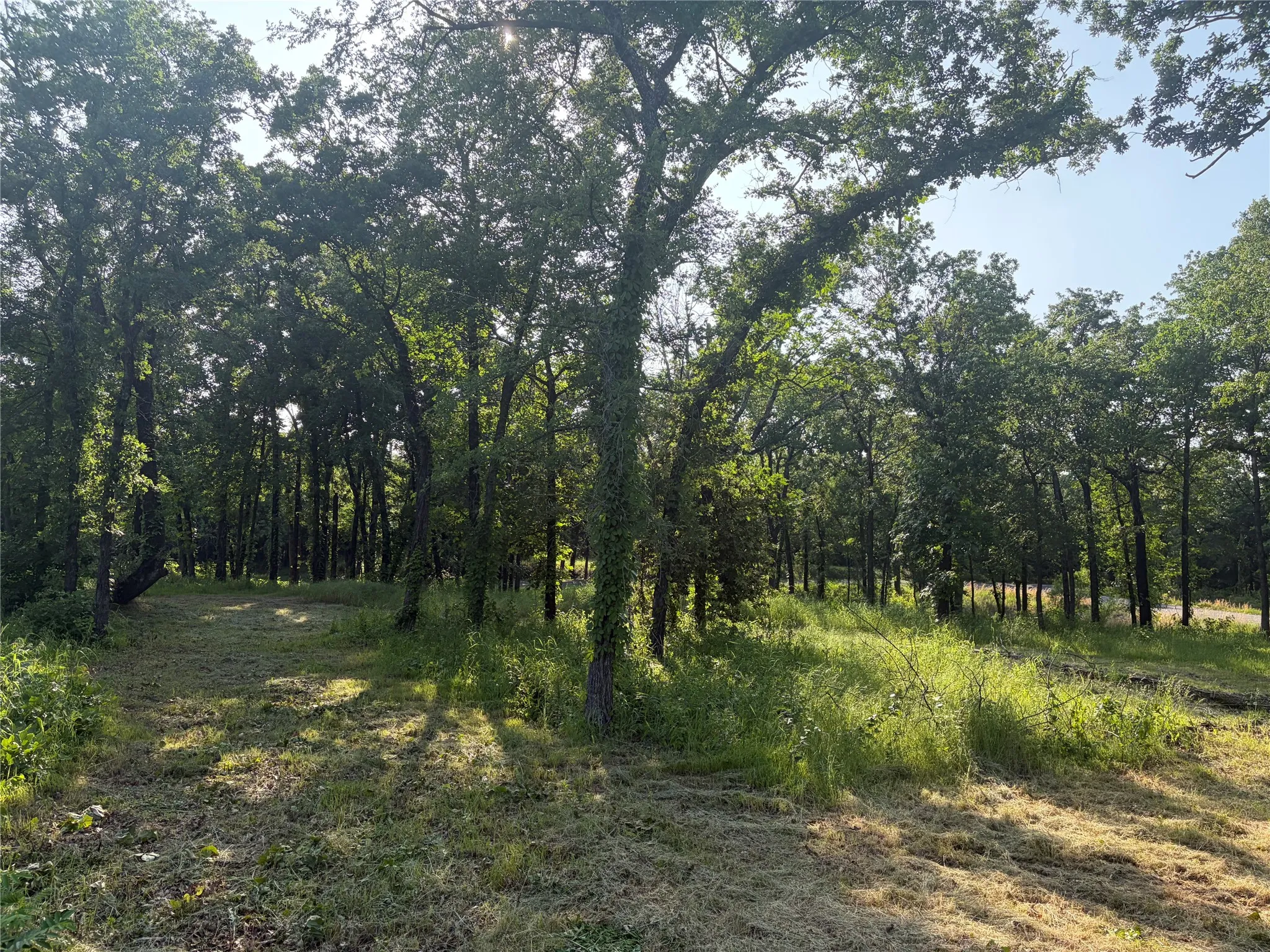 Unimproved Land For Sale in Grayson County , TBD Oak Creek Drive, Gordonville, Texas 76245, 0, 0, Garage spaces, 0 Sqft, built in 0, Price $150,000, mls#21280799, Real Estate Agent in Gordonville, Homes For Sale in Grayson county, Homes For Sale in Gordonville, Realtor in Gordonville Texas, Real Estate Brokerage Independent Realty Texas, Luminita Cordes Realtor
