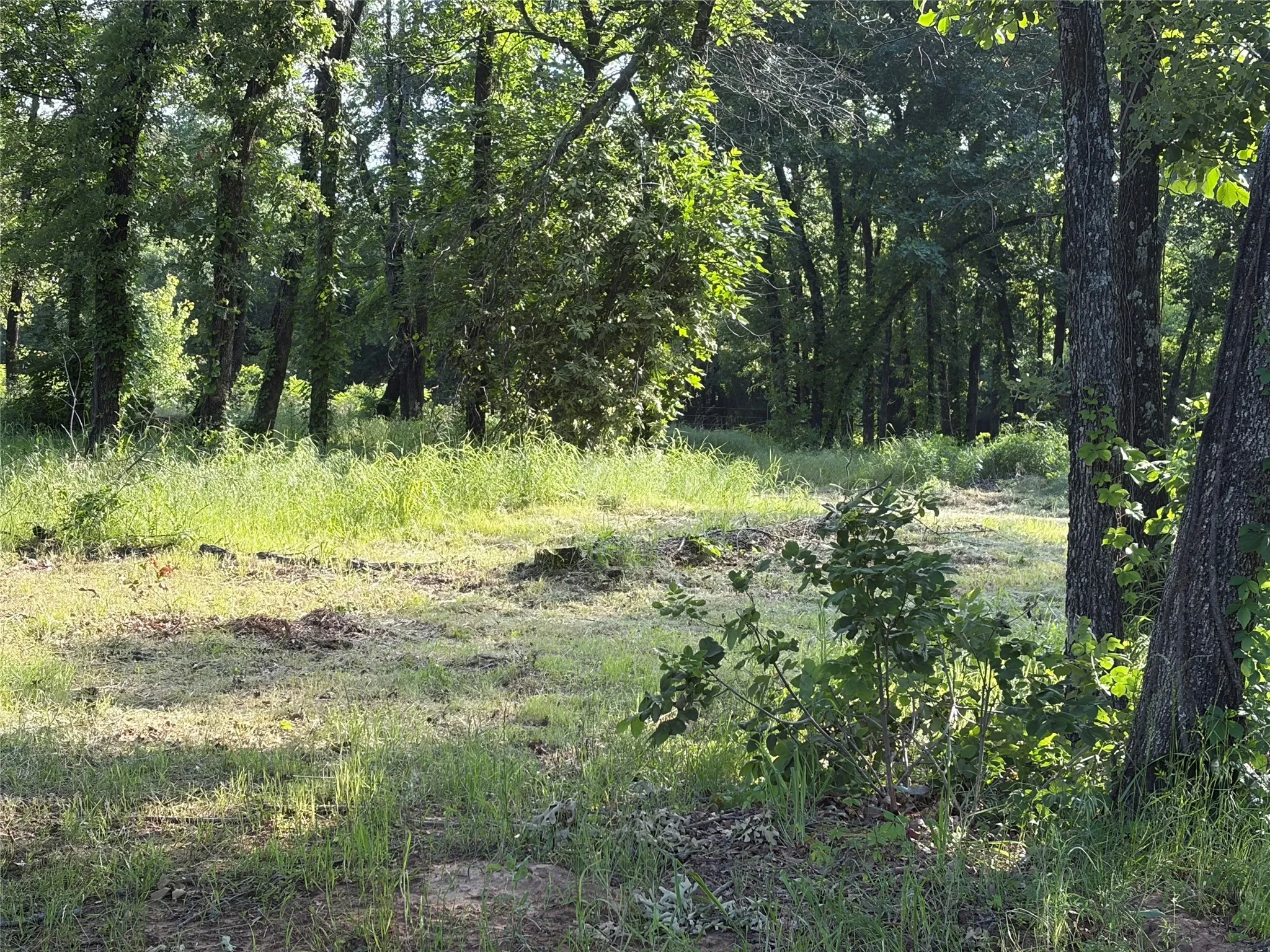 Unimproved Land For Sale in Grayson County , TBD Oak Creek Drive, Gordonville, Texas 76245, 0, 0, Garage spaces, 0 Sqft, built in 0, Price $150,000, mls#21280799, Real Estate Agent in Gordonville, Homes For Sale in Grayson county, Homes For Sale in Gordonville, Realtor in Gordonville Texas, Real Estate Brokerage Independent Realty Texas, Luminita Cordes Realtor