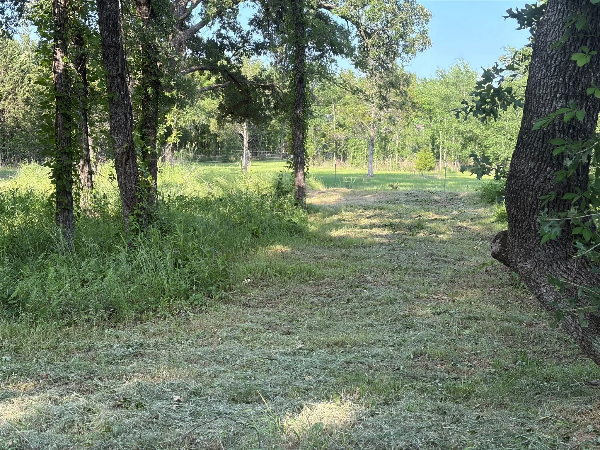 Unimproved Land For Sale in Grayson County , TBD Oak Creek Drive, Gordonville, Texas 76245, 0, 0, Garage spaces, 0 Sqft, built in 0, Price $150,000, mls#21280799, Real Estate Agent in Gordonville, Homes For Sale in Grayson county, Homes For Sale in Gordonville, Realtor in Gordonville Texas, Real Estate Brokerage Independent Realty Texas, Luminita Cordes Realtor