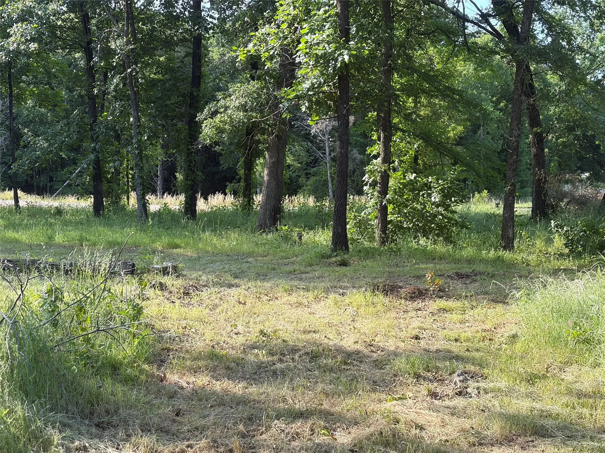 Unimproved Land For Sale in Grayson County , TBD Oak Creek Drive, Gordonville, Texas 76245, 0, 0, Garage spaces, 0 Sqft, built in 0, Price $150,000, mls#21280799, Real Estate Agent in Gordonville, Homes For Sale in Grayson county, Homes For Sale in Gordonville, Realtor in Gordonville Texas, Real Estate Brokerage Independent Realty Texas, Luminita Cordes Realtor