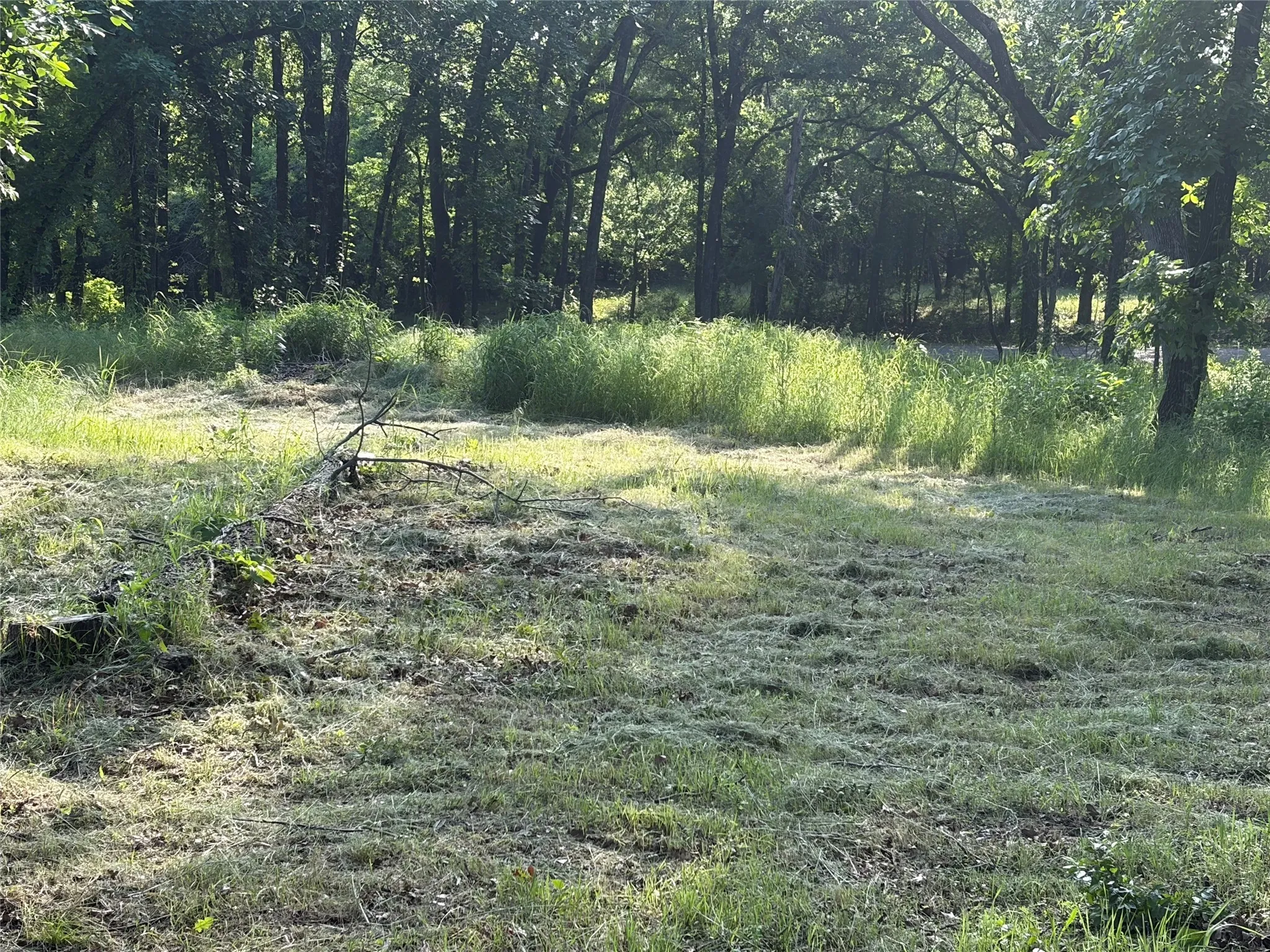 Unimproved Land For Sale in Grayson County , TBD Oak Creek Drive, Gordonville, Texas 76245, 0, 0, Garage spaces, 0 Sqft, built in 0, Price $150,000, mls#21280799, Real Estate Agent in Gordonville, Homes For Sale in Grayson county, Homes For Sale in Gordonville, Realtor in Gordonville Texas, Real Estate Brokerage Independent Realty Texas, Luminita Cordes Realtor
