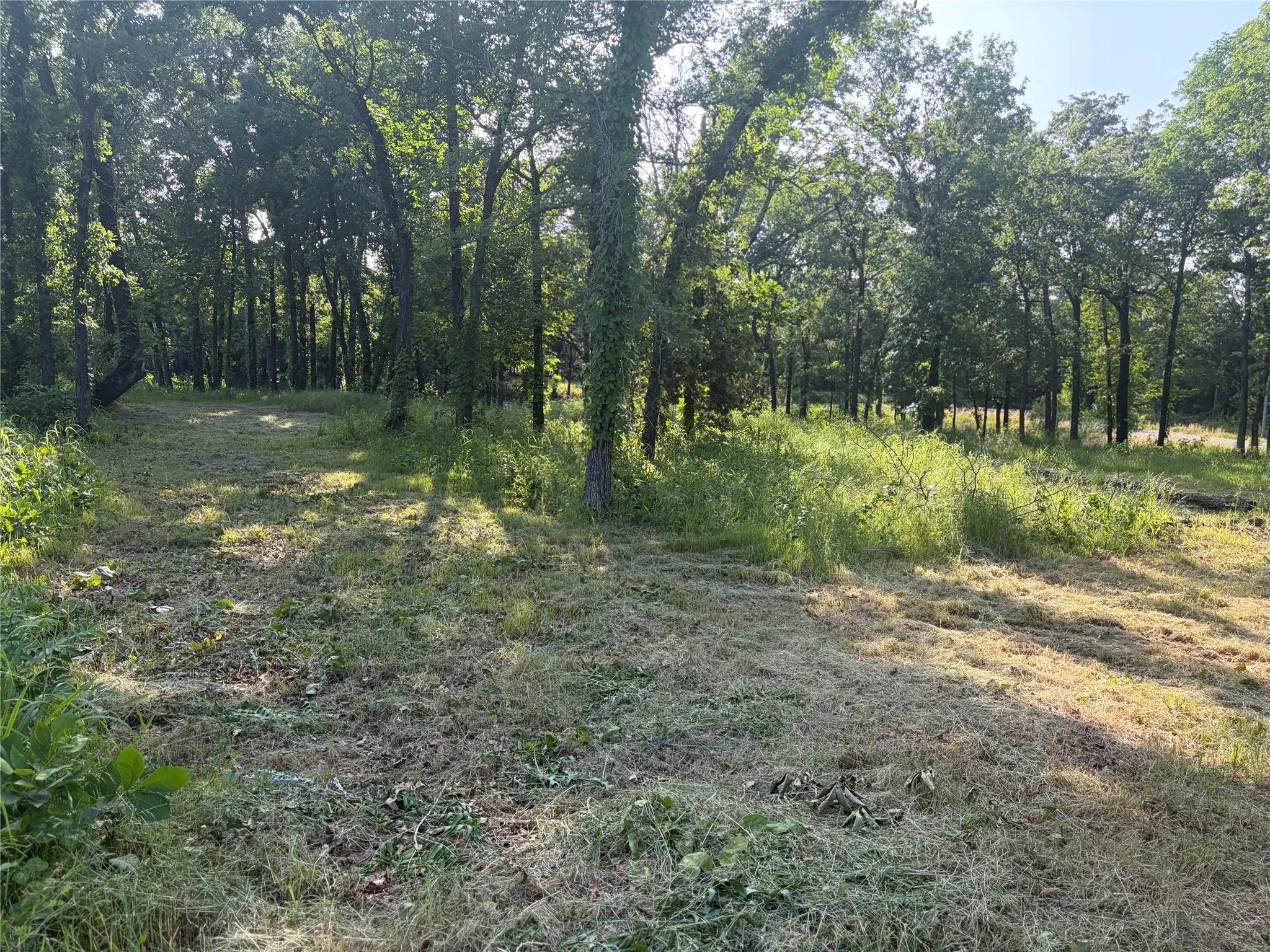 Unimproved Land For Sale in Grayson County , TBD Oak Creek Drive, Gordonville, Texas 76245, 0, 0, Garage spaces, 0 Sqft, built in 0, Price $150,000, mls#21280799, Real Estate Agent in Gordonville, Homes For Sale in Grayson county, Homes For Sale in Gordonville, Realtor in Gordonville Texas, Real Estate Brokerage Independent Realty Texas, Luminita Cordes Realtor