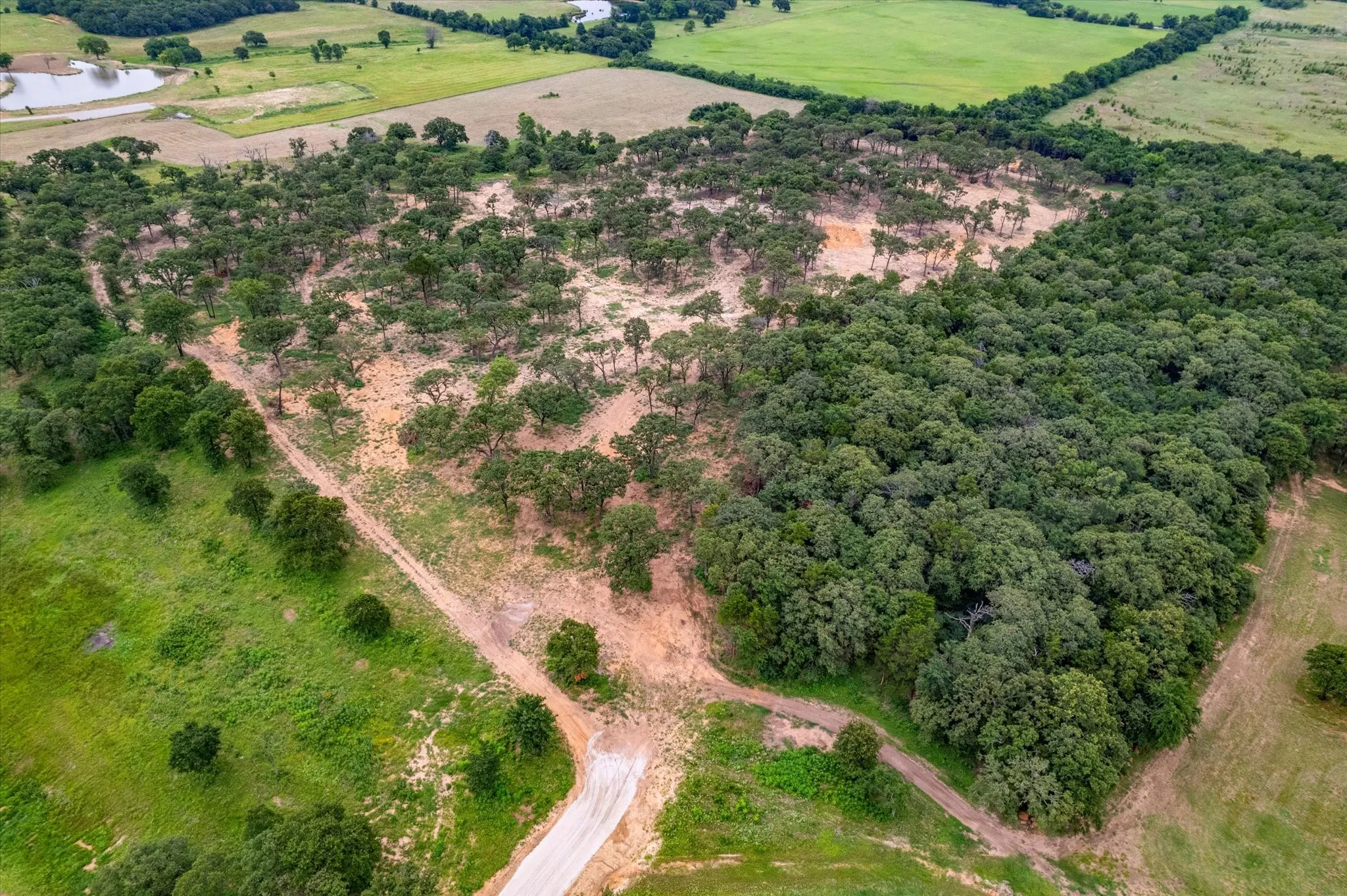 Unimproved Land For Sale in Cooke County , TBD Fm 902 Tract B, Collinsville, Texas 76233, 0, 0, Garage spaces, 0 Sqft, built in 0, mls#21284686, Real Estate Agent in Collinsville, Homes For Sale in Cooke county, Homes For Sale in Collinsville, Realtor in Collinsville Texas, Real Estate Brokerage Independent Realty Texas, Luminita Cordes Realtor