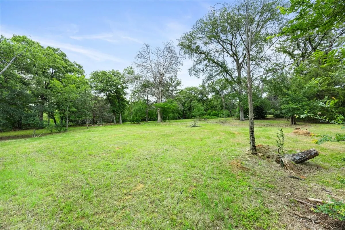 Expansive grassy terrain featuring scattered mature trees and natural wood elements