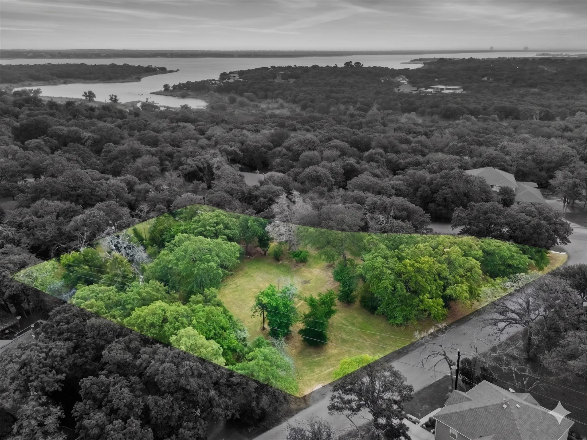 Expansive lot with mature trees and a partial clearing, bordered by a paved street