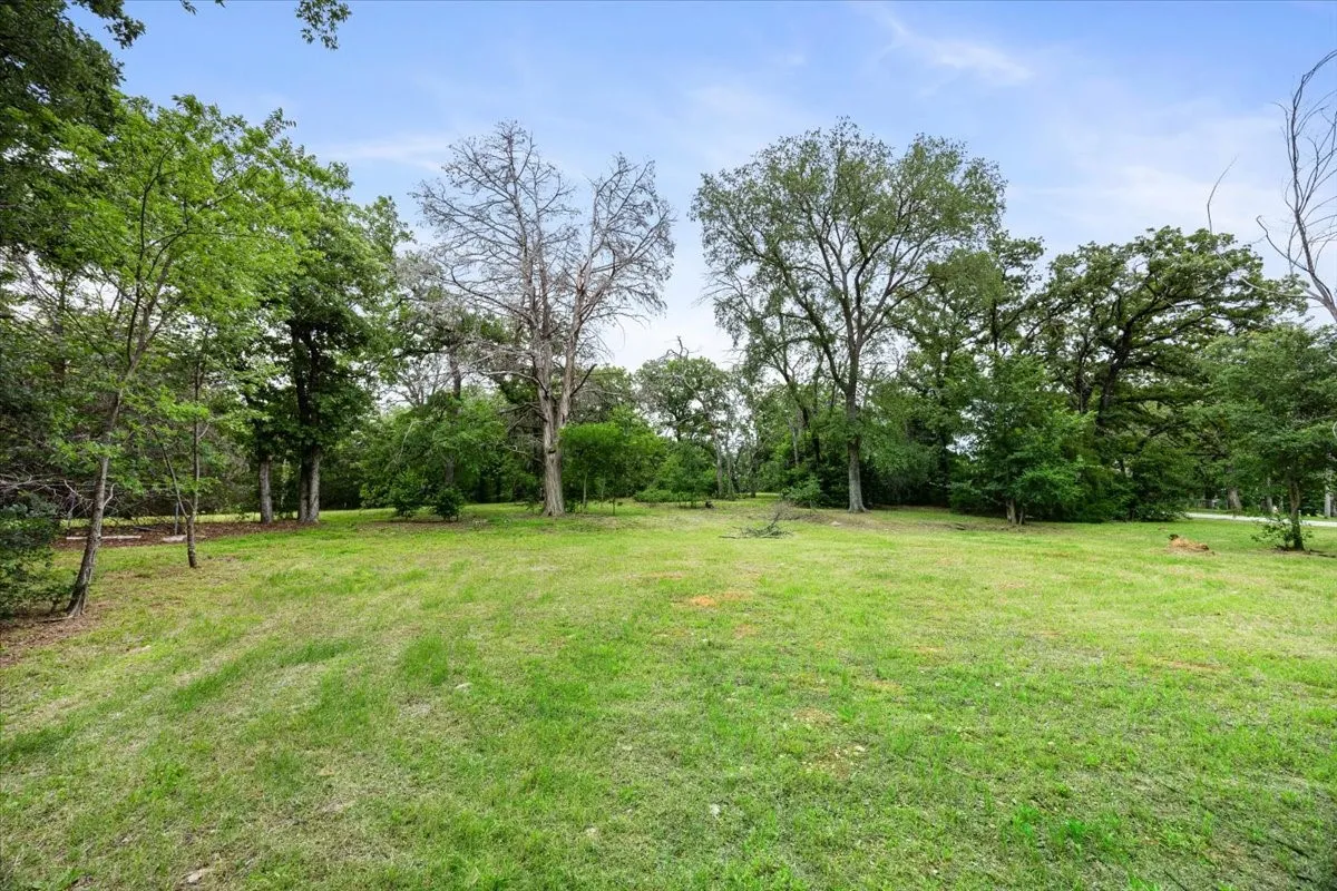Expansive grassy area surrounded by a perimeter of mature deciduous trees and varied foliage, under a clear sky