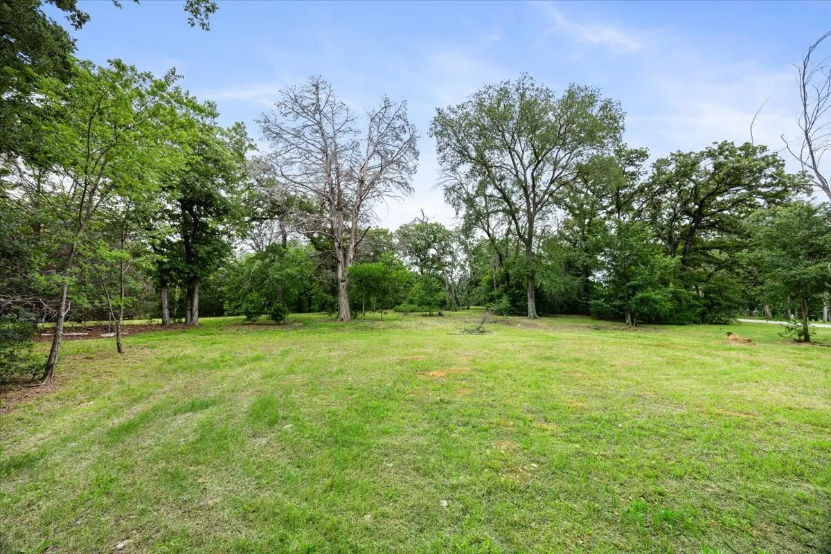 Expansive green space featuring mature trees and a clear blue sky