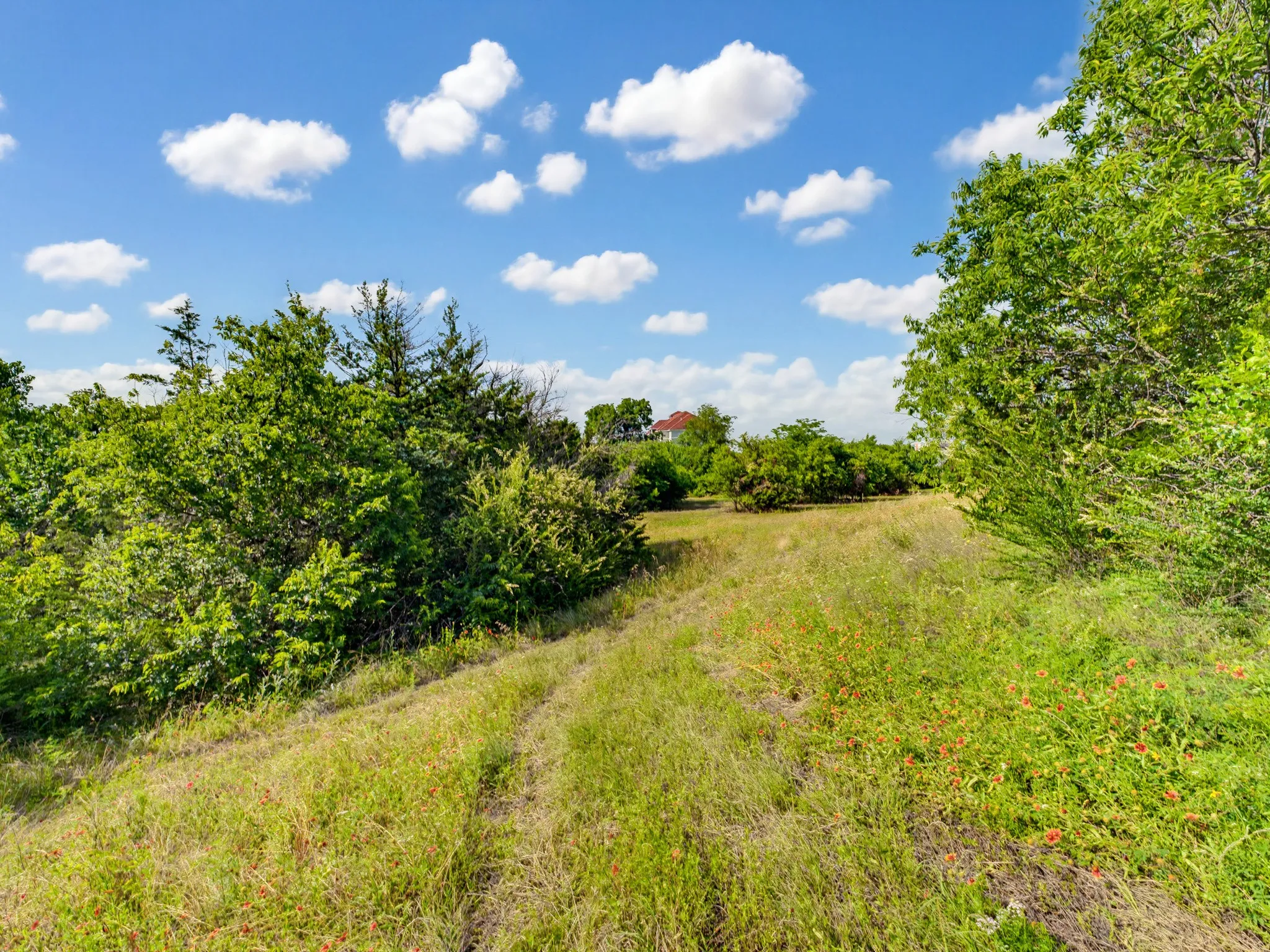 Unimproved Land For Sale in Wise County , 1300 S Trenchard Street, Decatur, Texas 76234, 0, 0, Garage spaces, 0 Sqft, built in 0, Price $2,500,000, mls#21284709, Real Estate Agent in Decatur, Homes For Sale in Wise county, Homes For Sale in Decatur, Realtor in Decatur Texas, Real Estate Brokerage Independent Realty Texas, Luminita Cordes Realtor