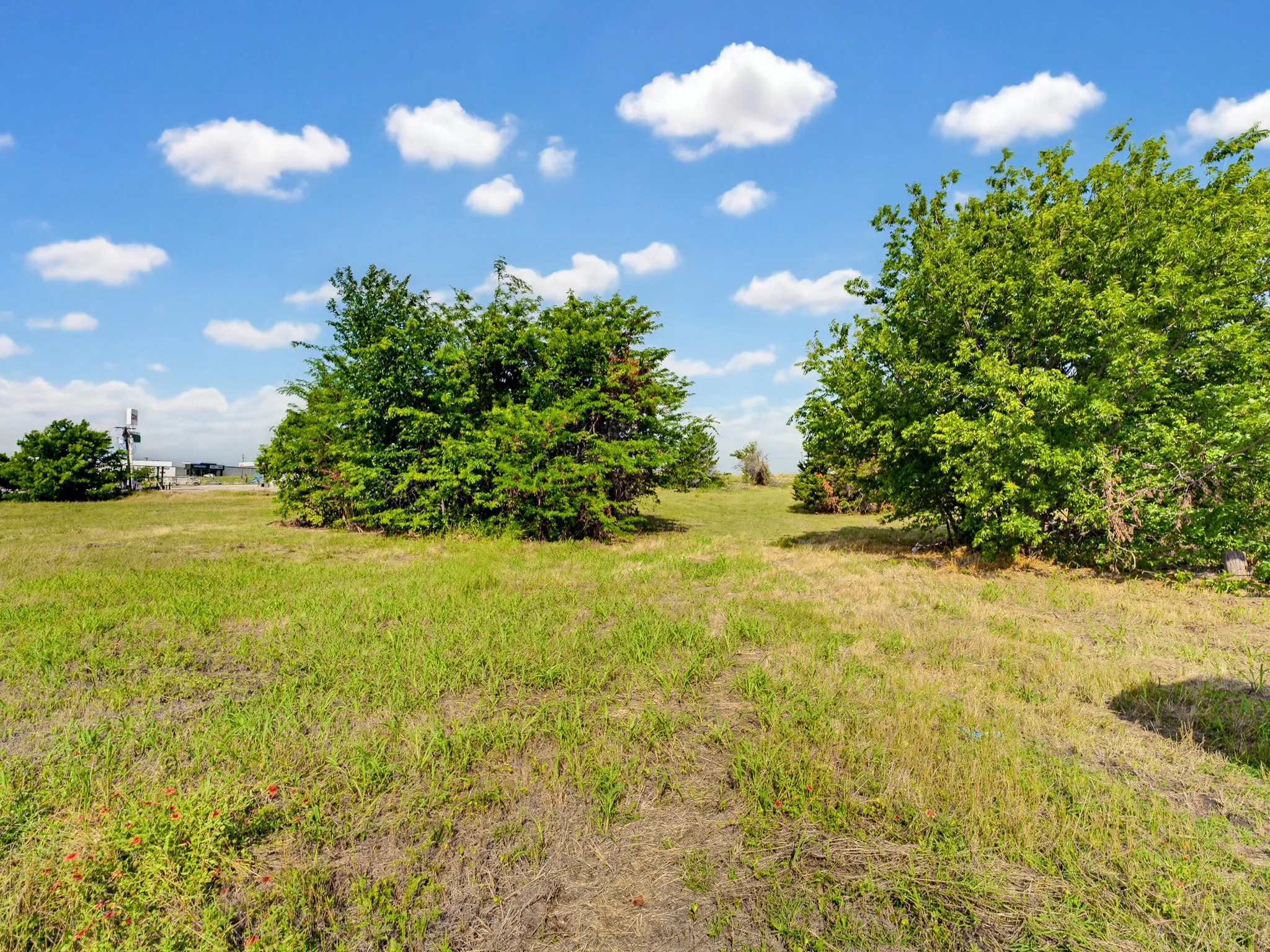 Unimproved Land For Sale in Wise County , 1300 S Trenchard Street, Decatur, Texas 76234, 0, 0, Garage spaces, 0 Sqft, built in 0, Price $2,500,000, mls#21284709, Real Estate Agent in Decatur, Homes For Sale in Wise county, Homes For Sale in Decatur, Realtor in Decatur Texas, Real Estate Brokerage Independent Realty Texas, Luminita Cordes Realtor